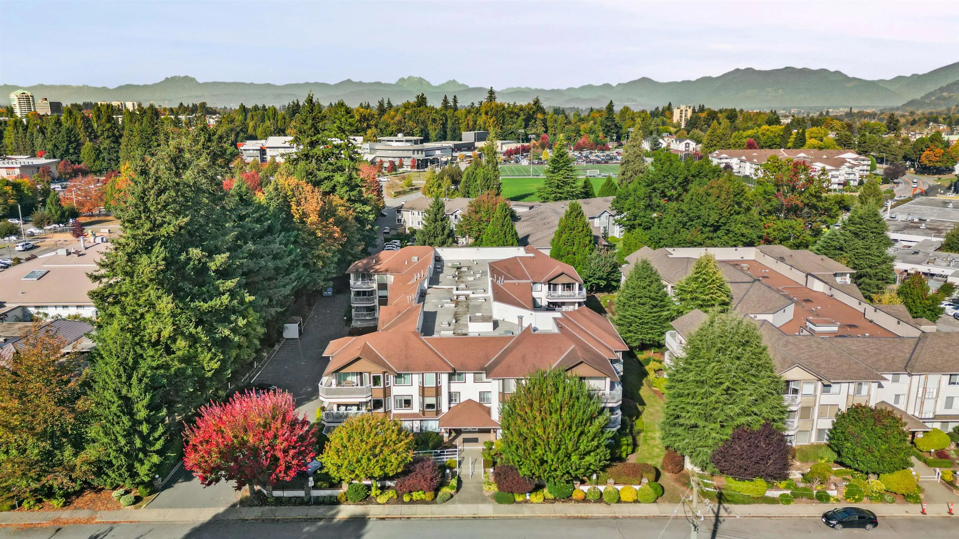 33375 Mayfair Avenue #102