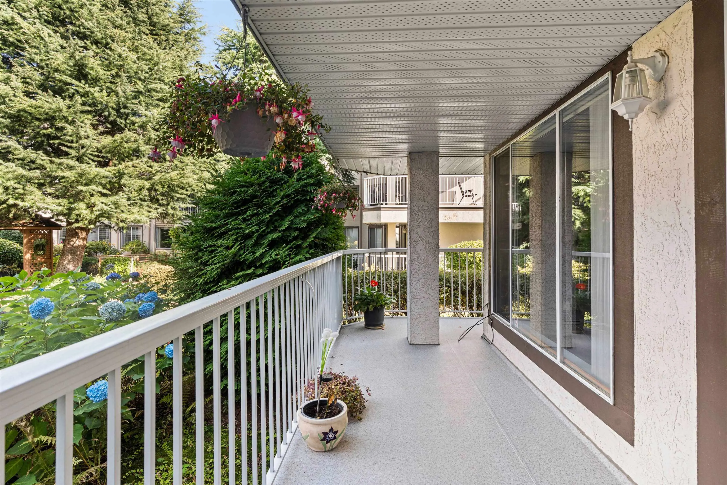 33375 Mayfair Avenue #102