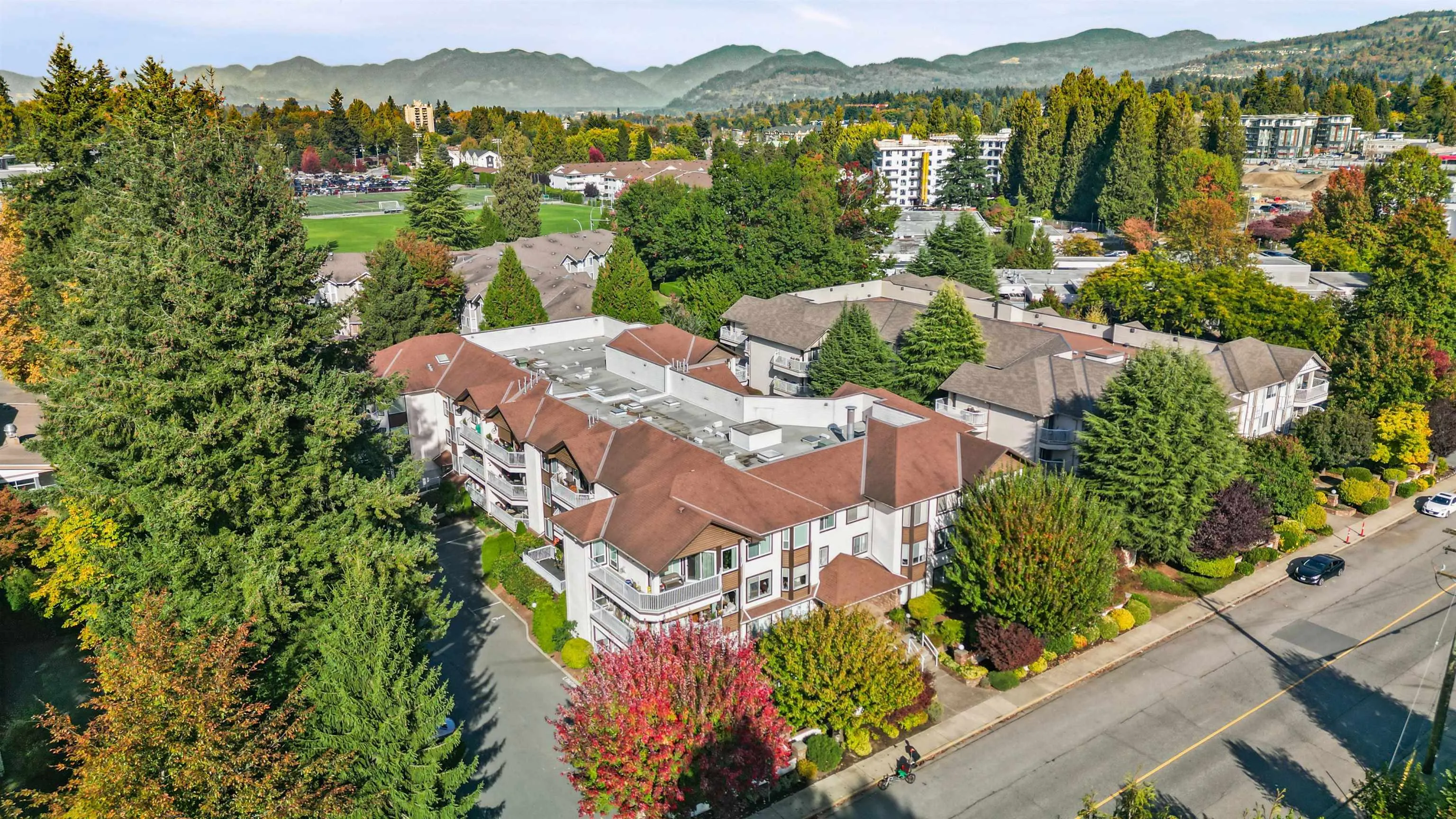 33375 Mayfair Avenue #102