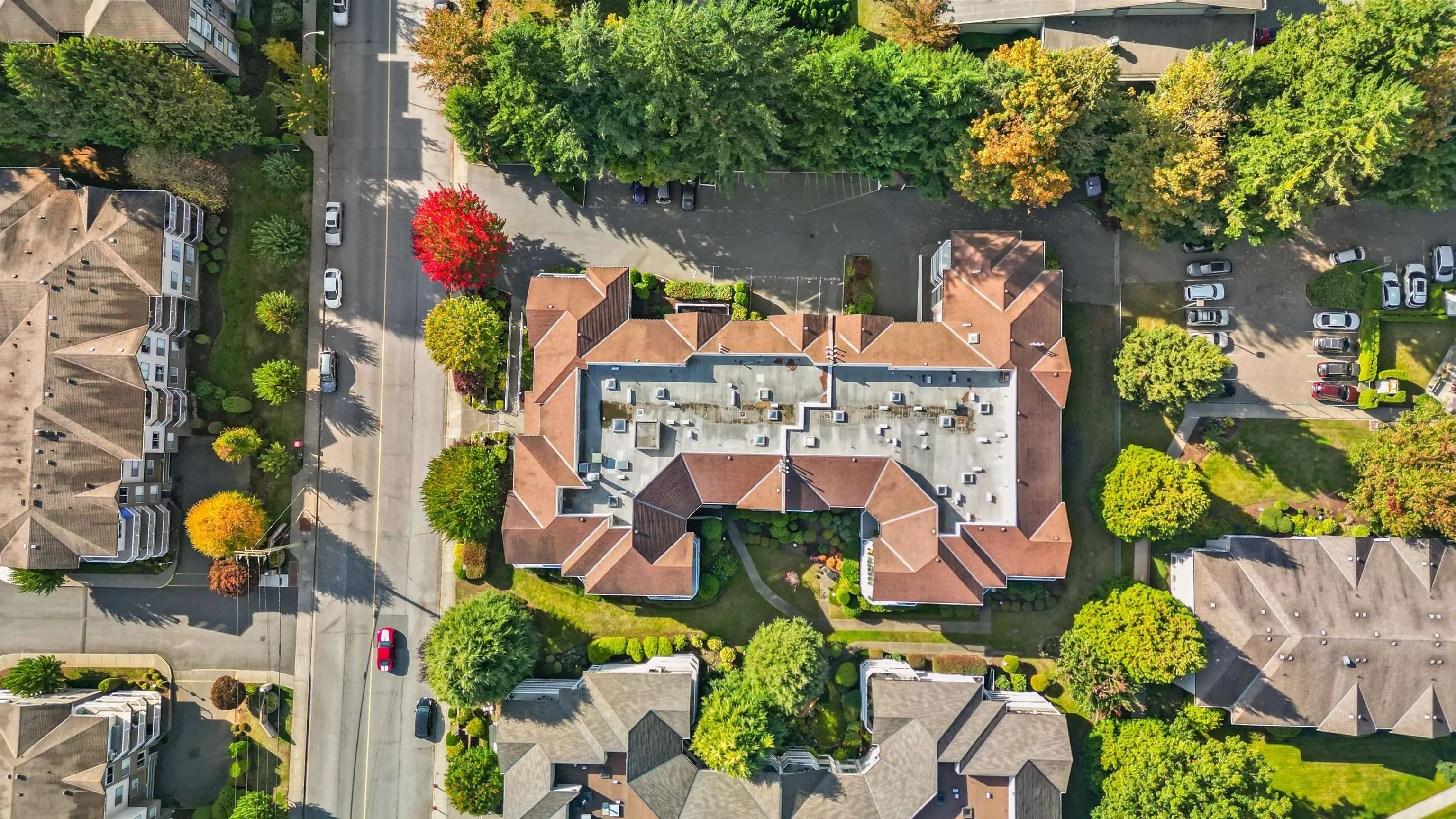 33375 Mayfair Avenue #102