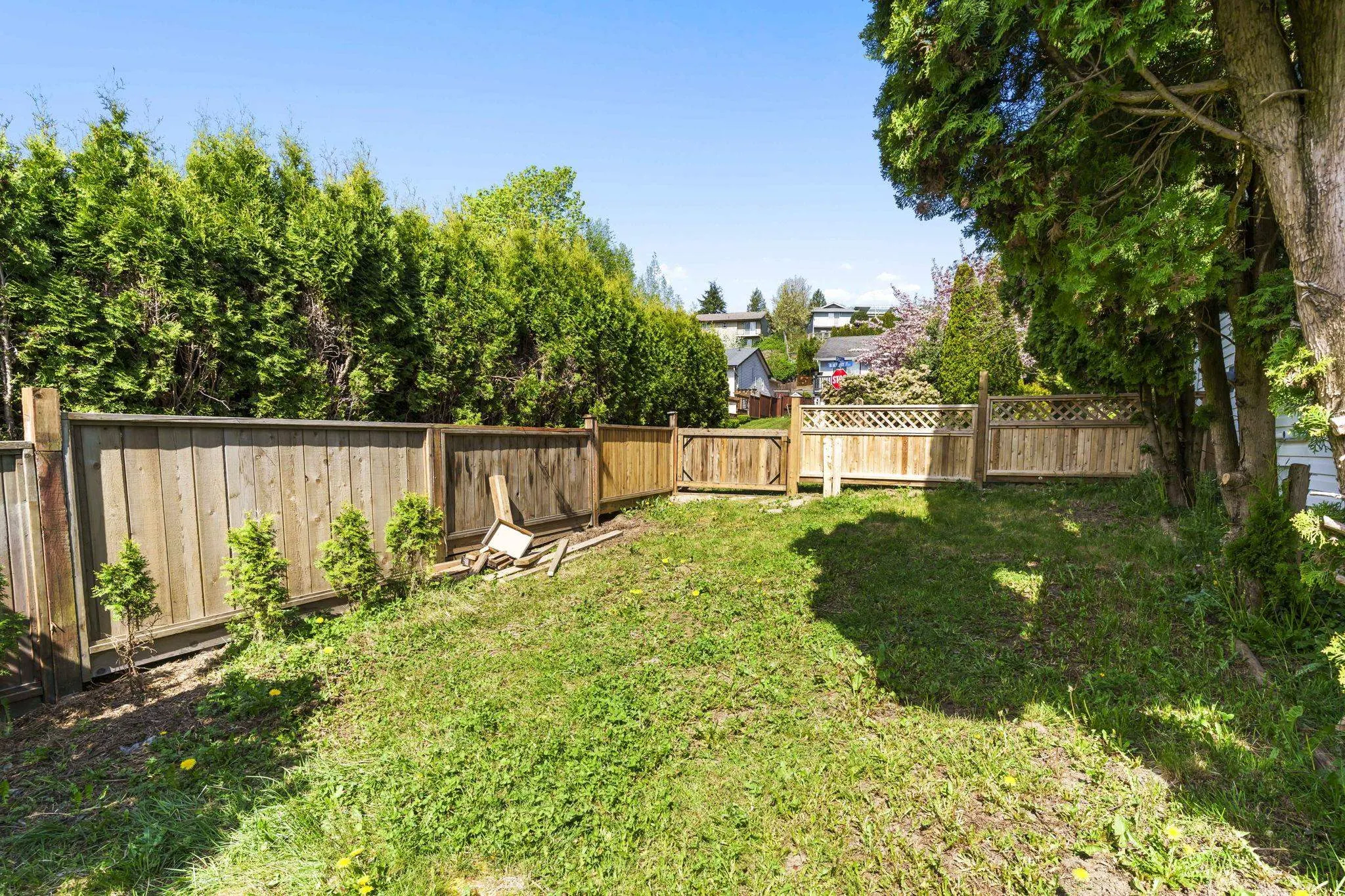 33480 Blueberry Drive