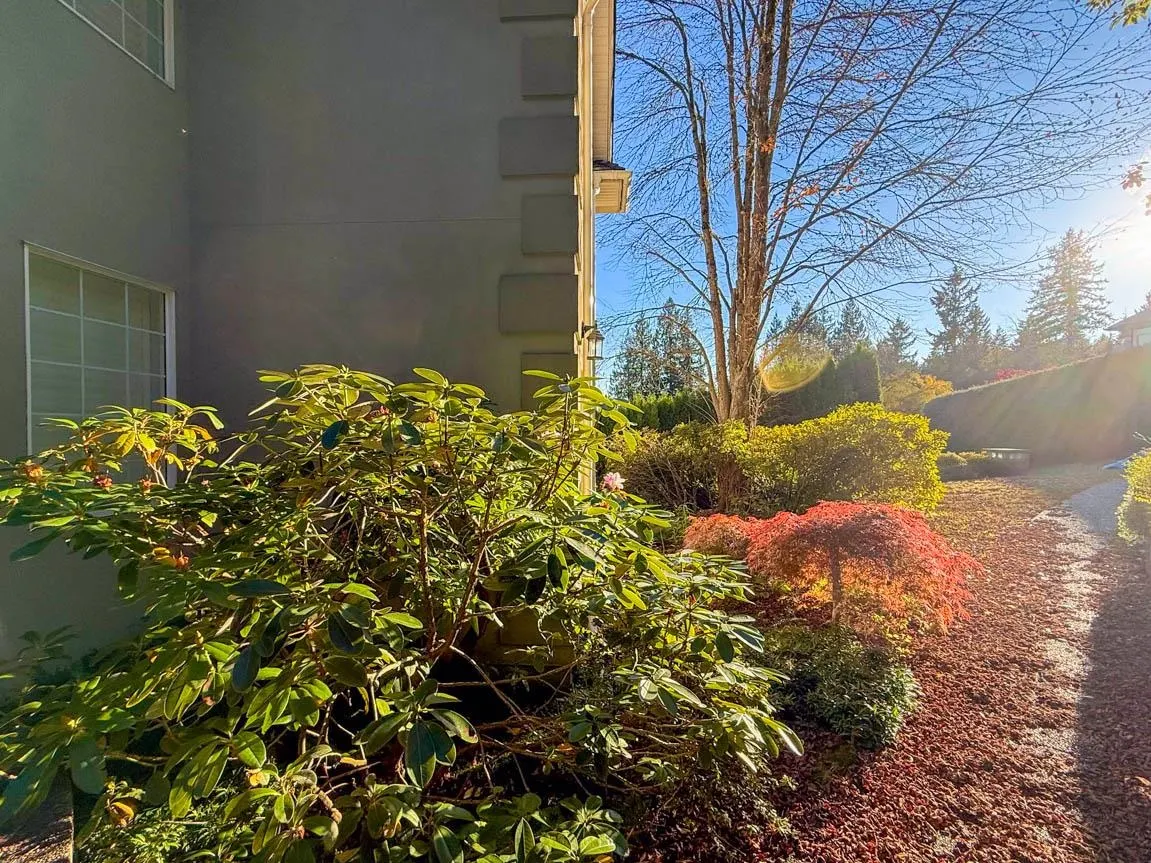 3858 Sauve Place