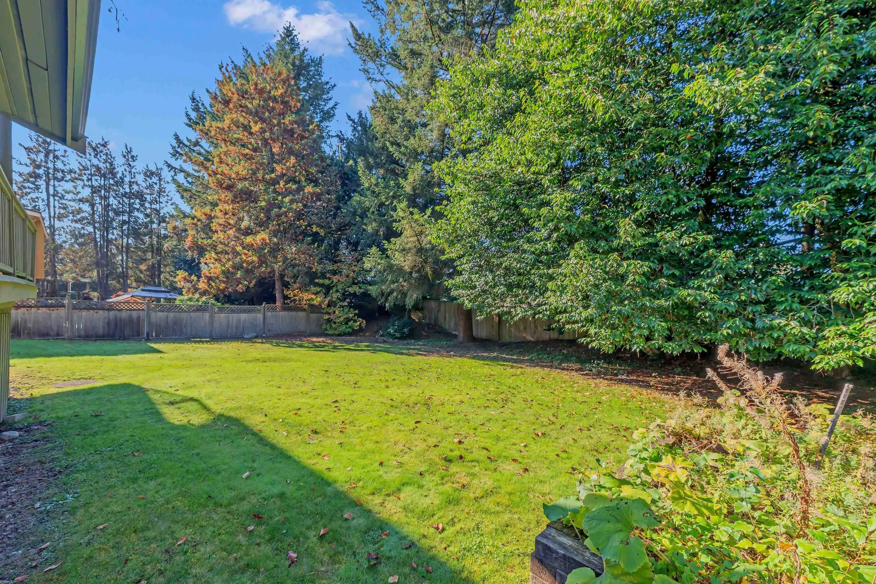 3635 Lynndale Crescent