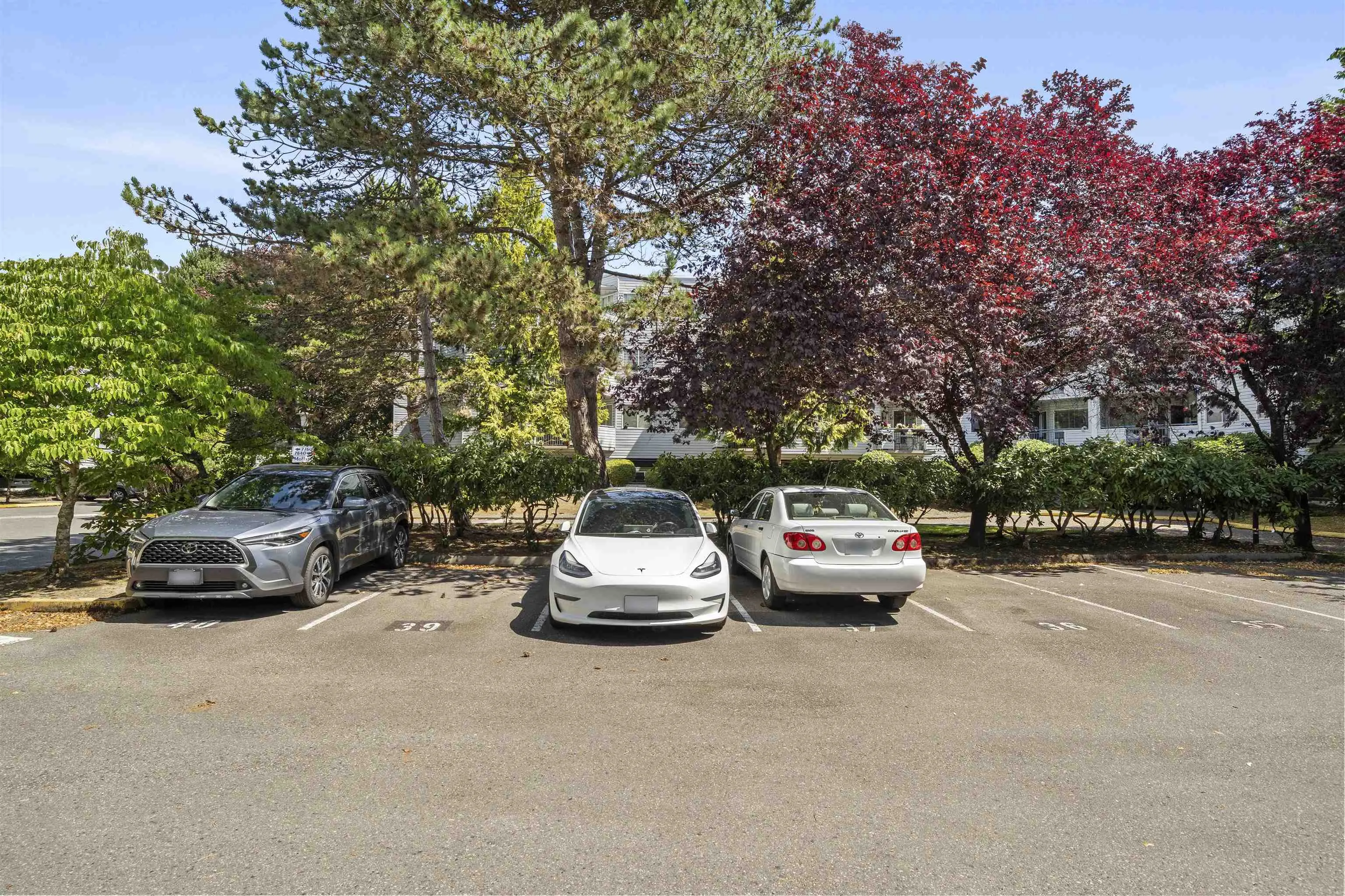 7840 Moffatt Road #205