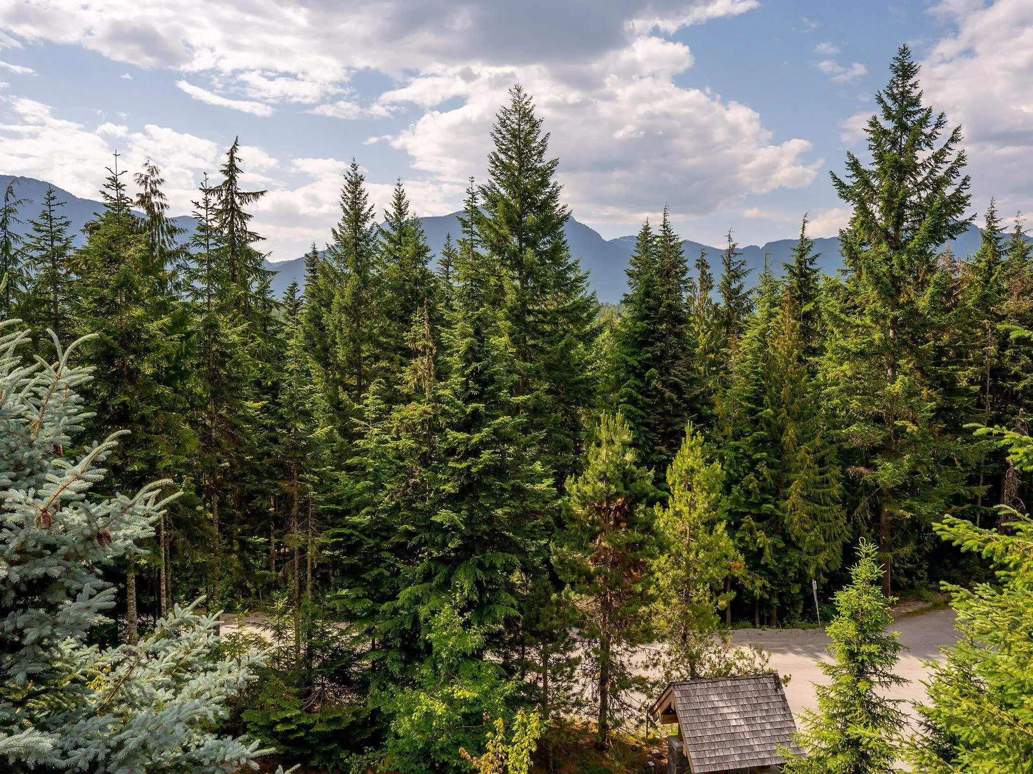 4673 Blackcomb Way