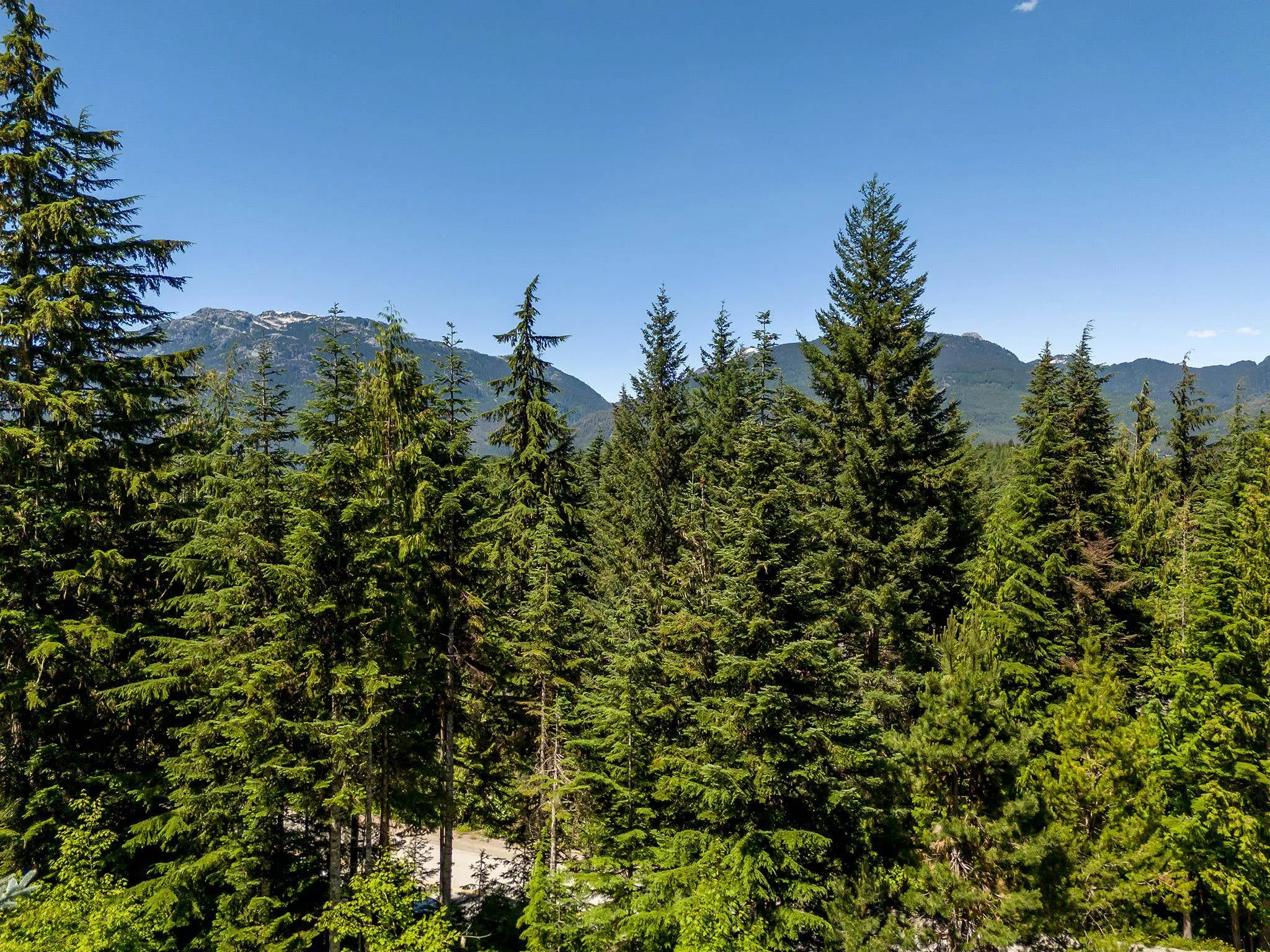 4673 Blackcomb Way