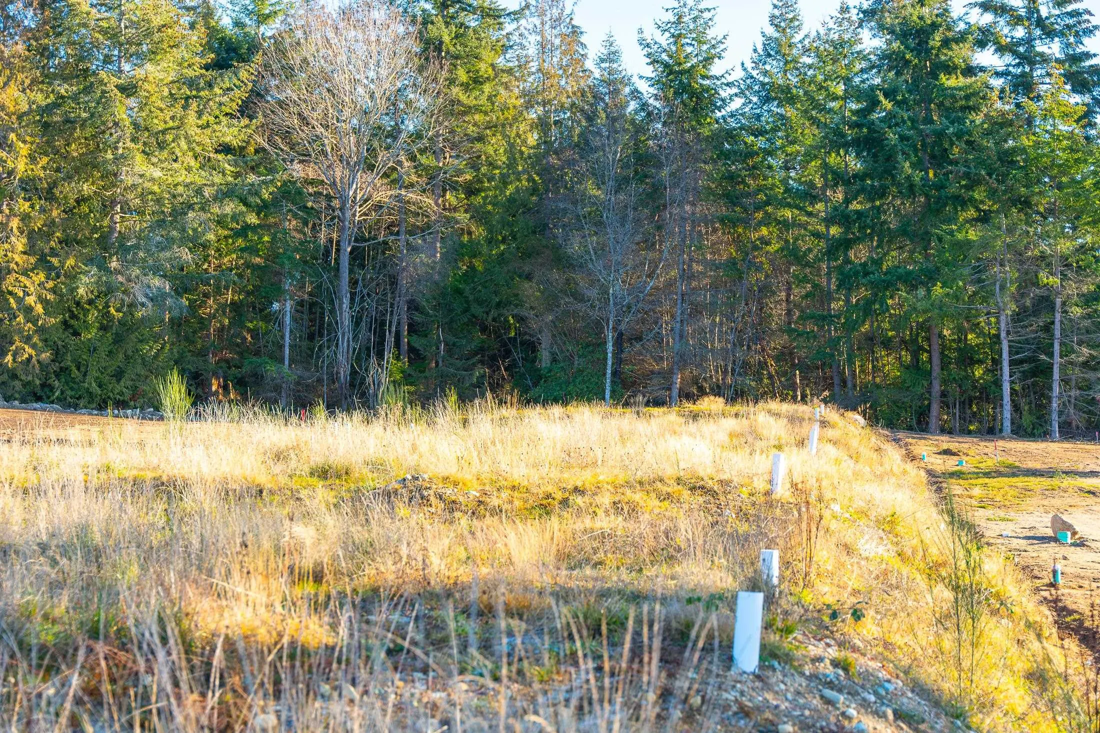 LOT 11 Chapman Road