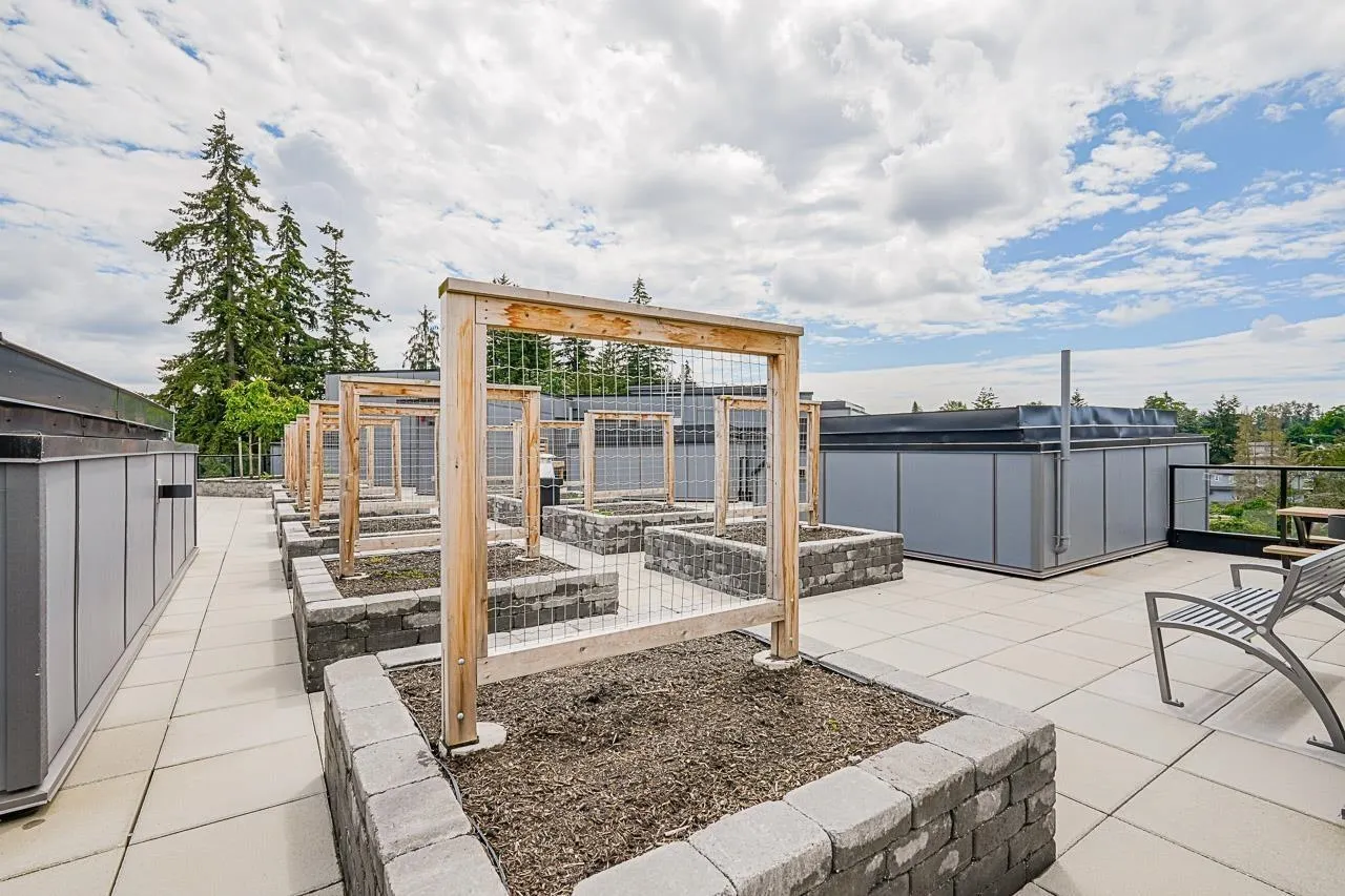 11077 Ravine Road #515