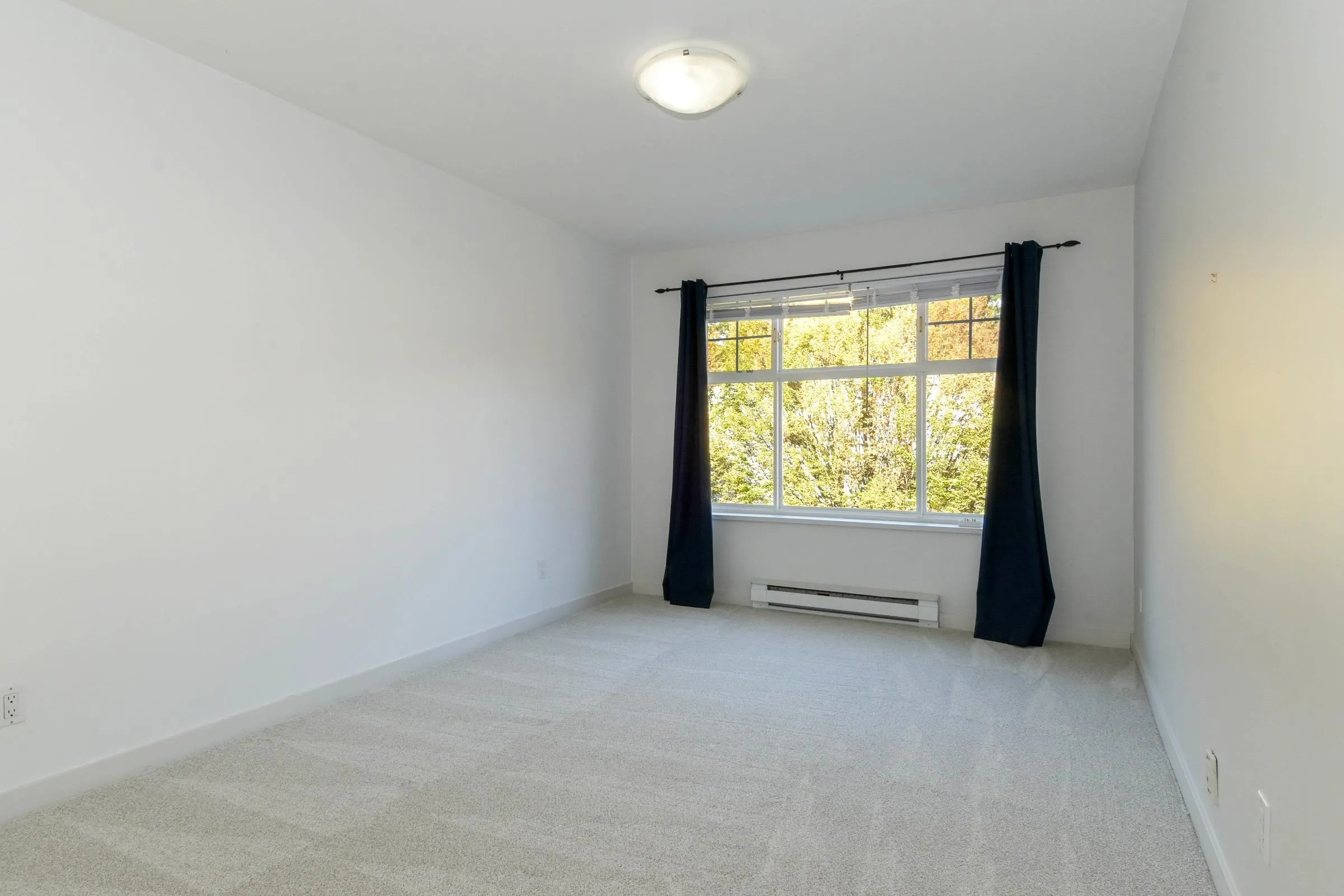 8976 208 Street #203
