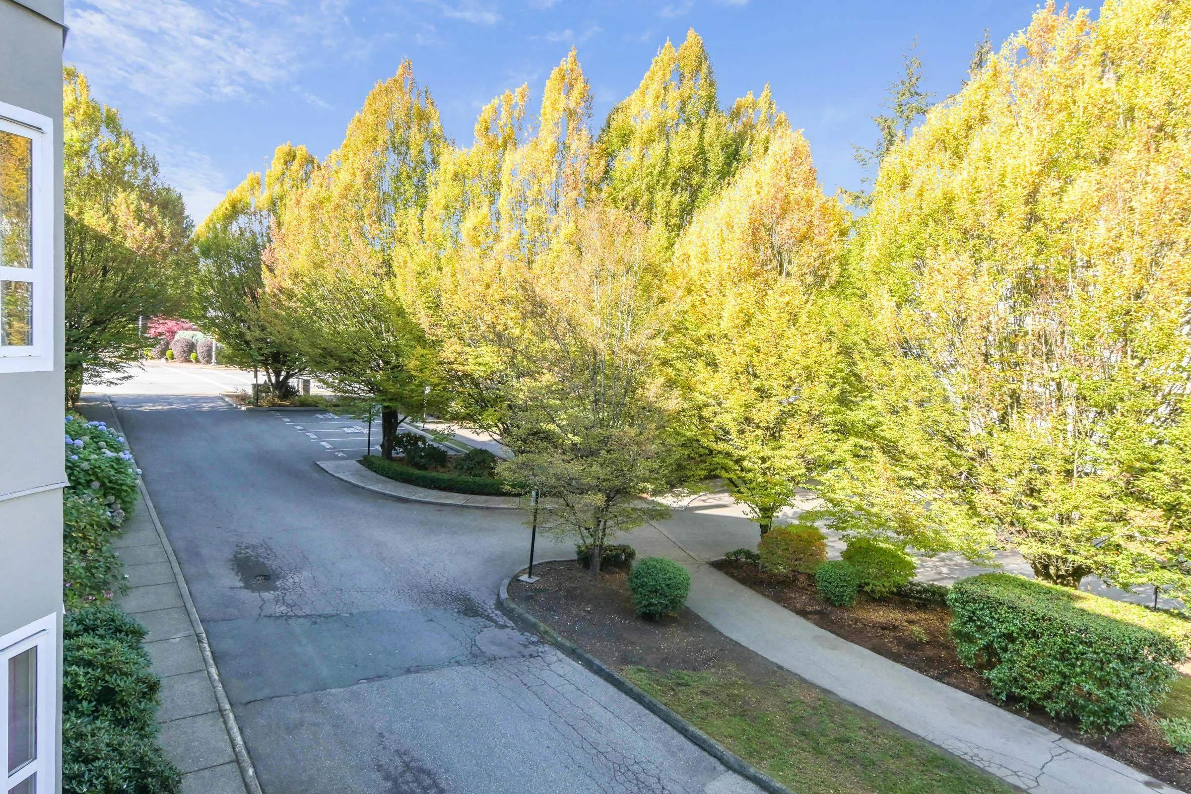 8976 208 Street #203