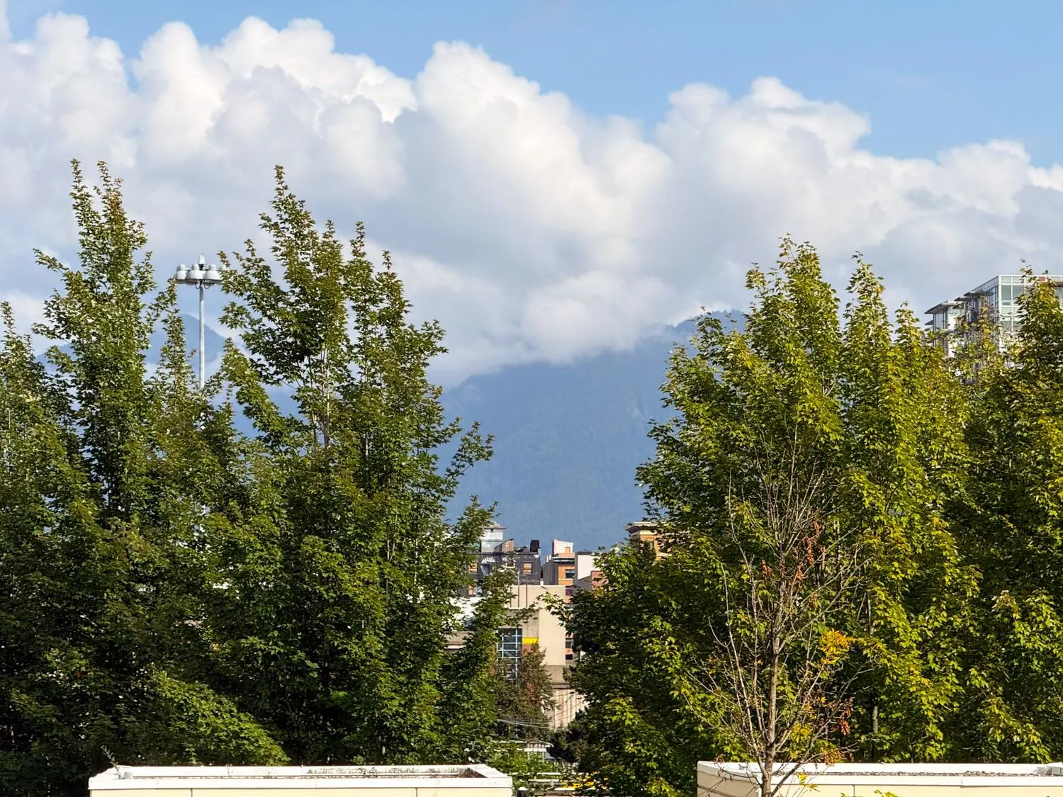 120 Milross Avenue #502