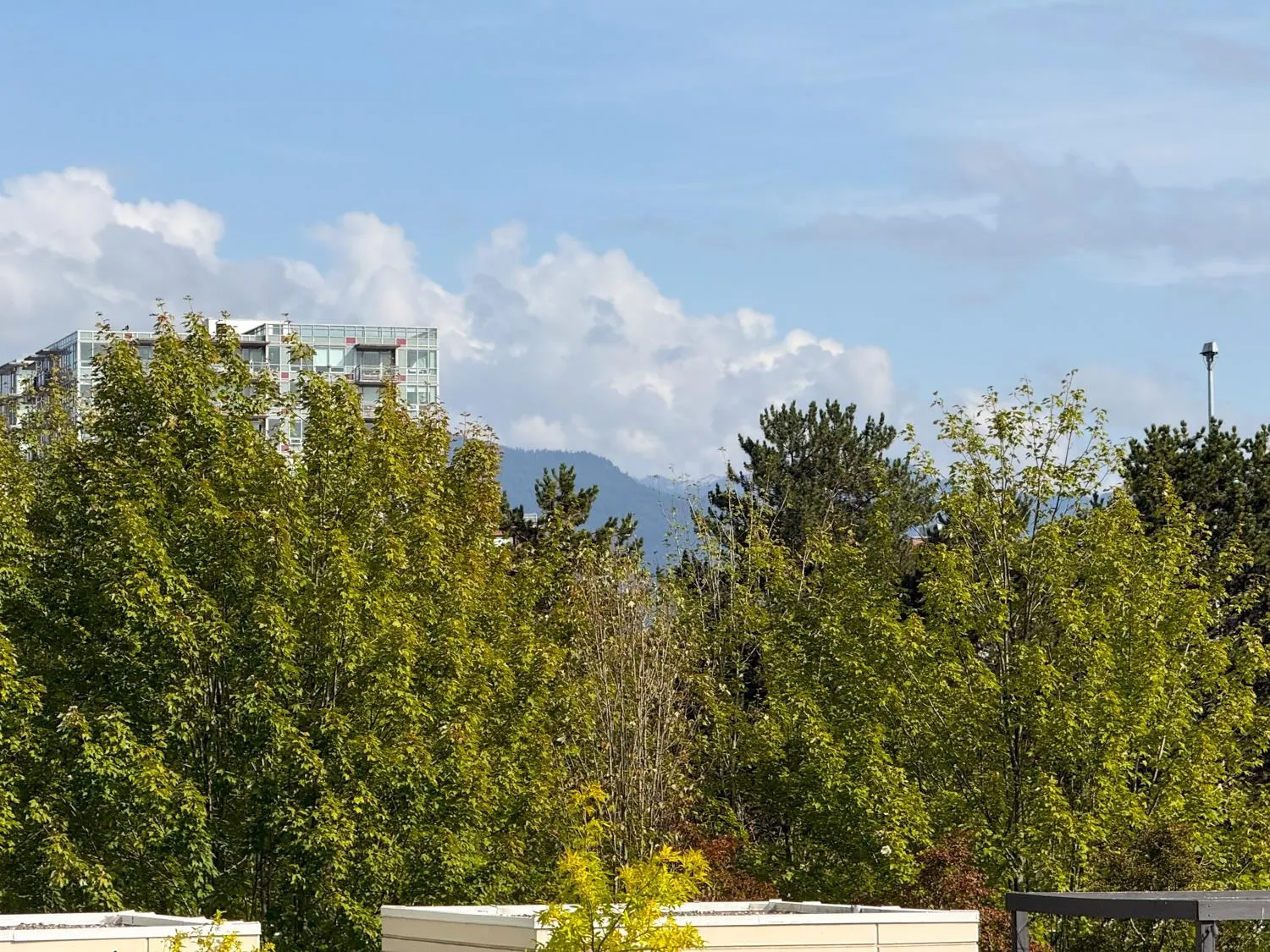 120 Milross Avenue #502
