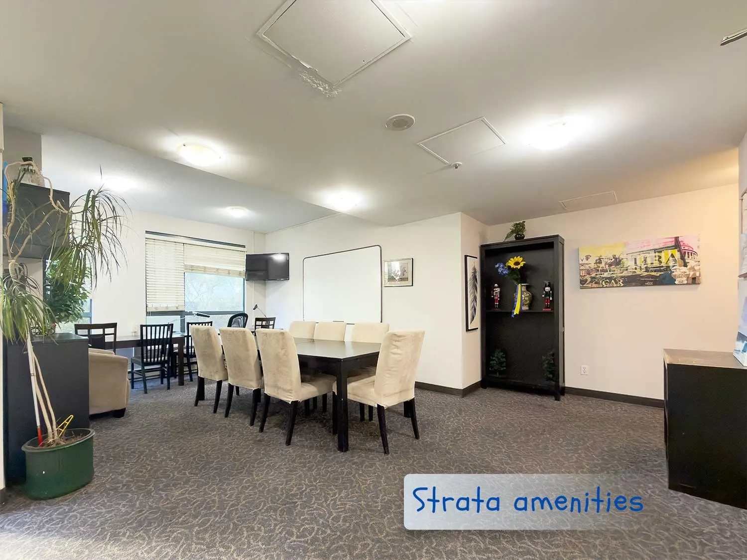 828 Agnes Street #904