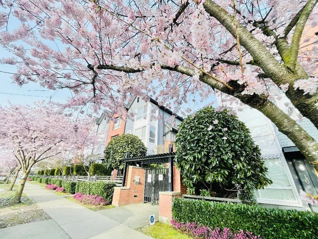 6868 Burlington Avenue #35