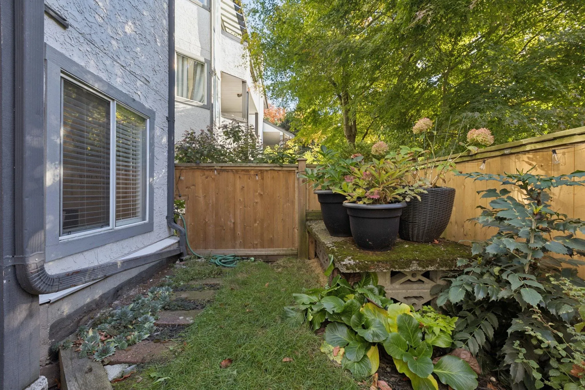 809 W 16th Street #107