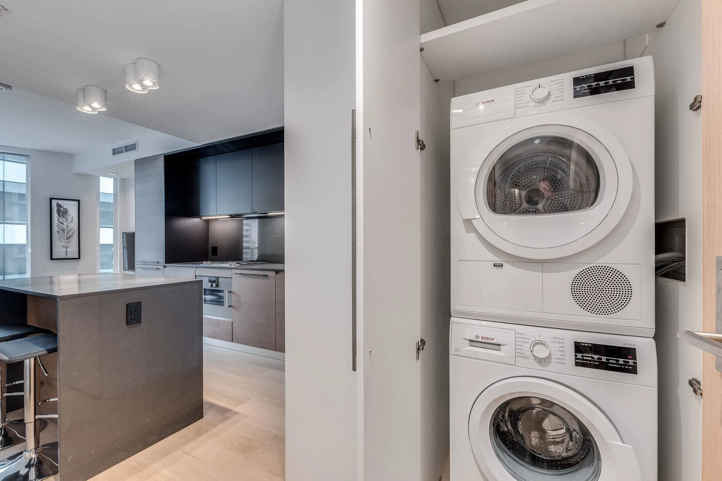 1289 Hornby Street #1102