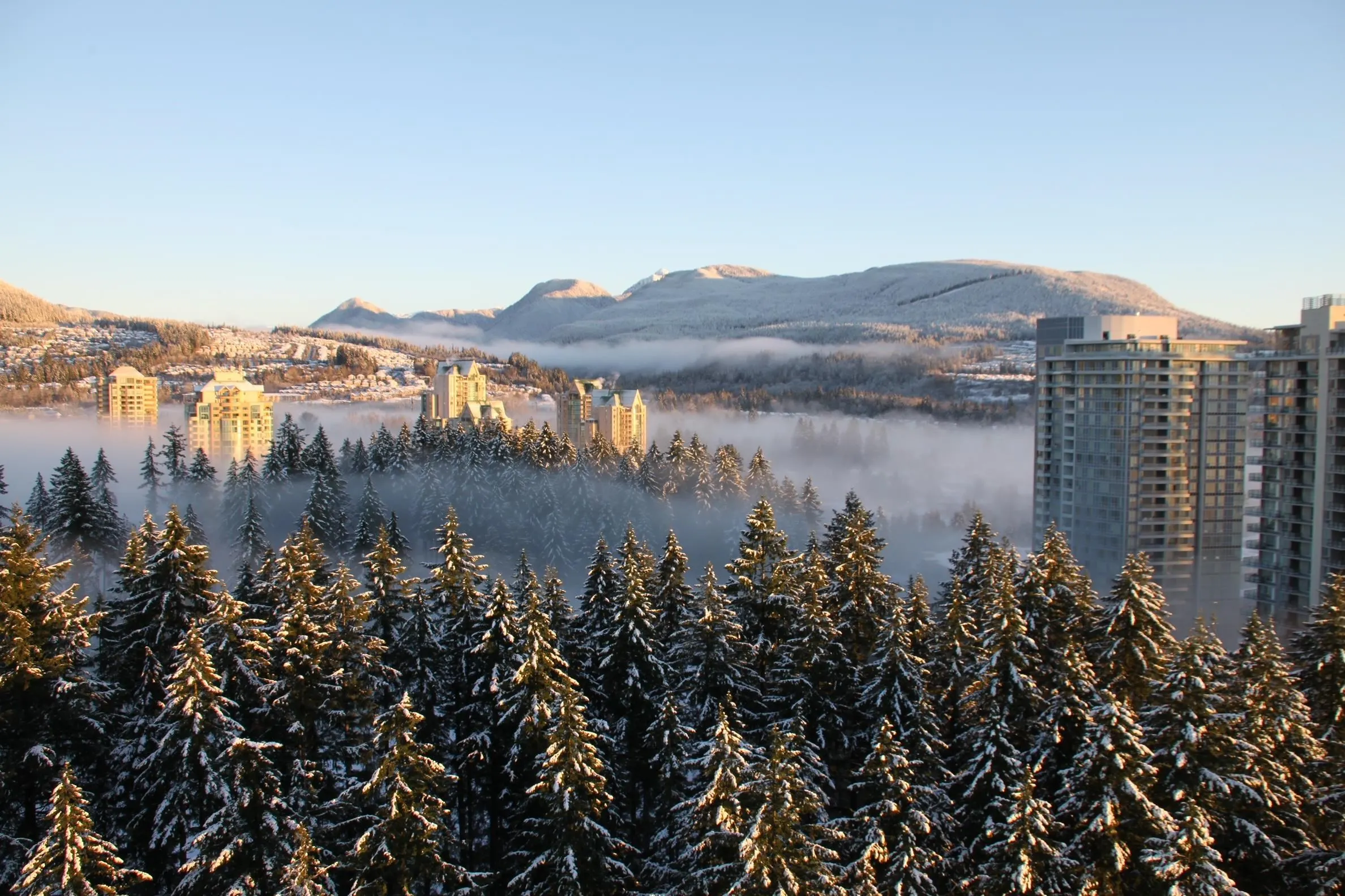 3080 Lincoln Avenue #2802