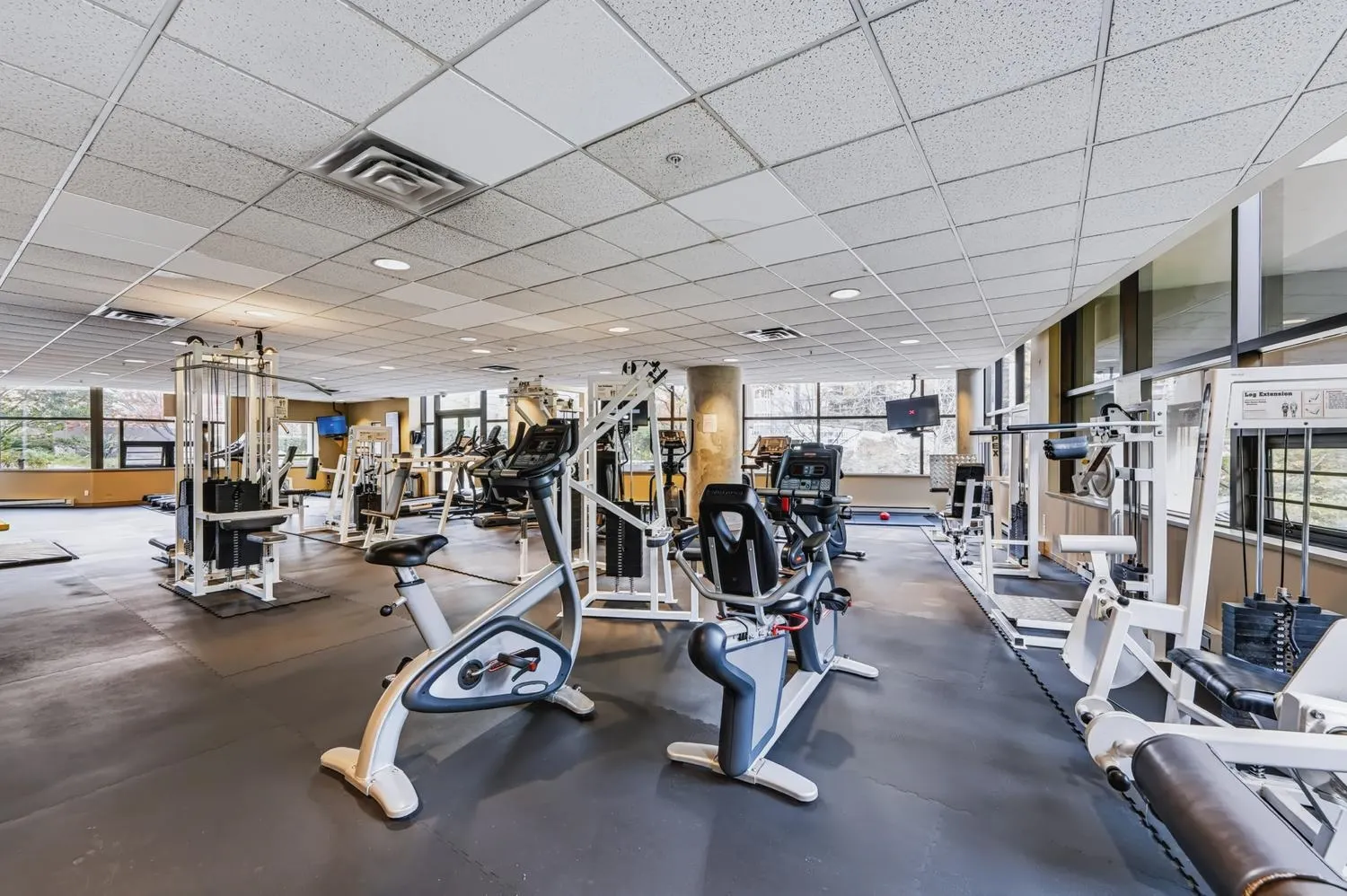 1367 Alberni Street #806