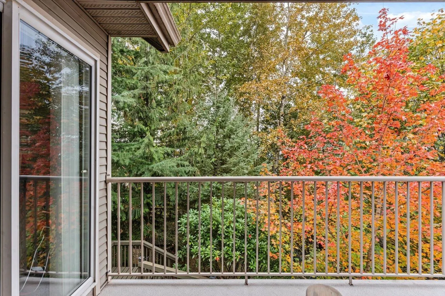 5260 Goldspring Place #1102