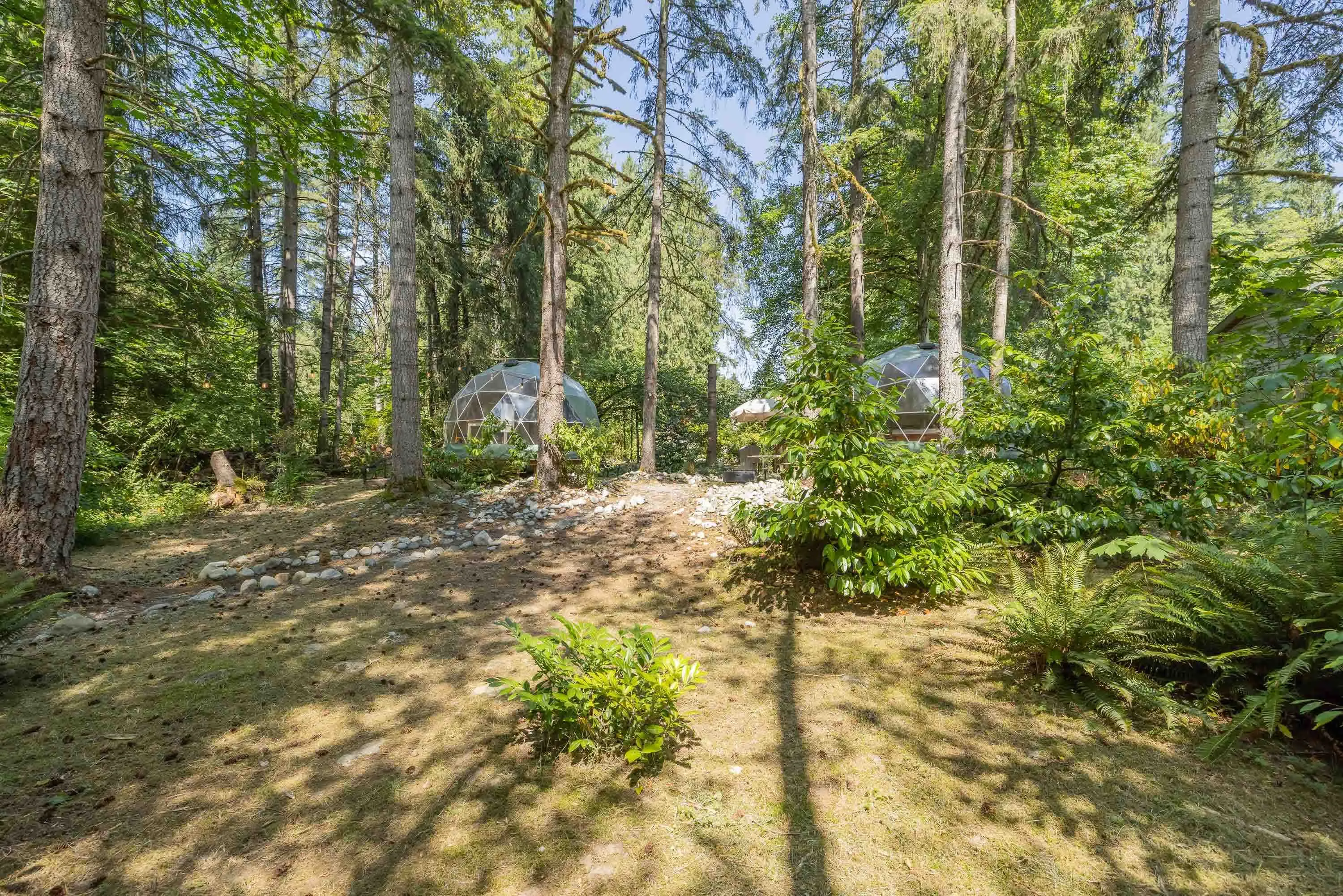 23942 Fern Crescent