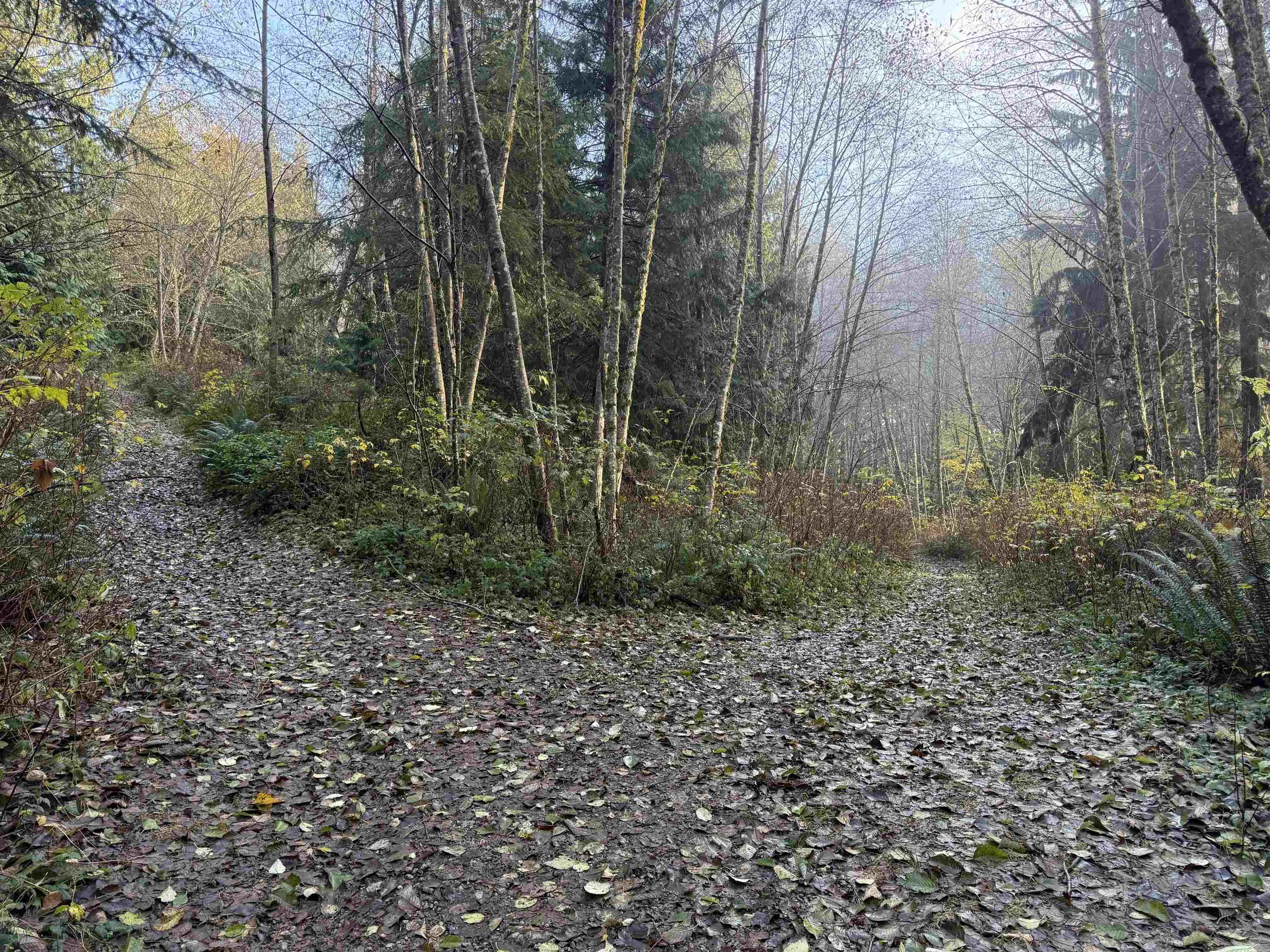 1594 Cemetery Road