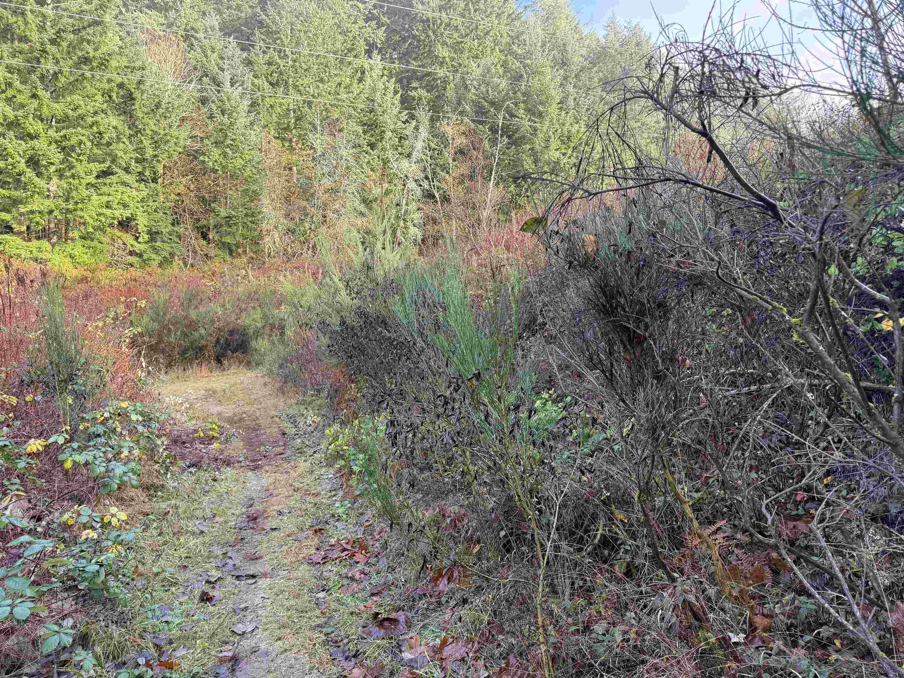 1594 Cemetery Road