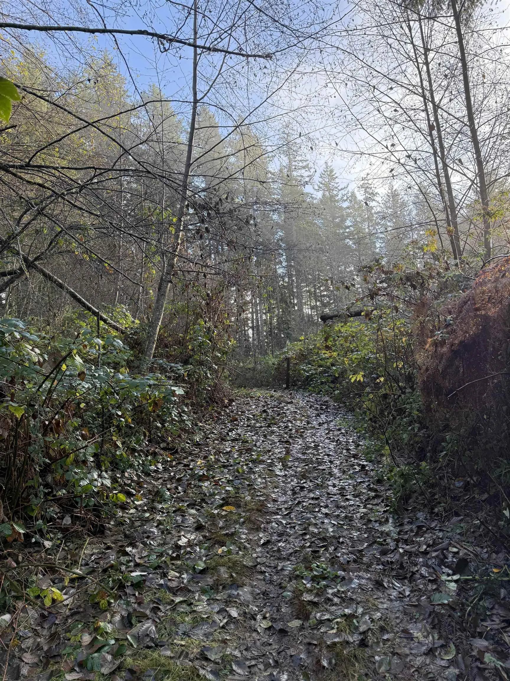 1594 Cemetery Road