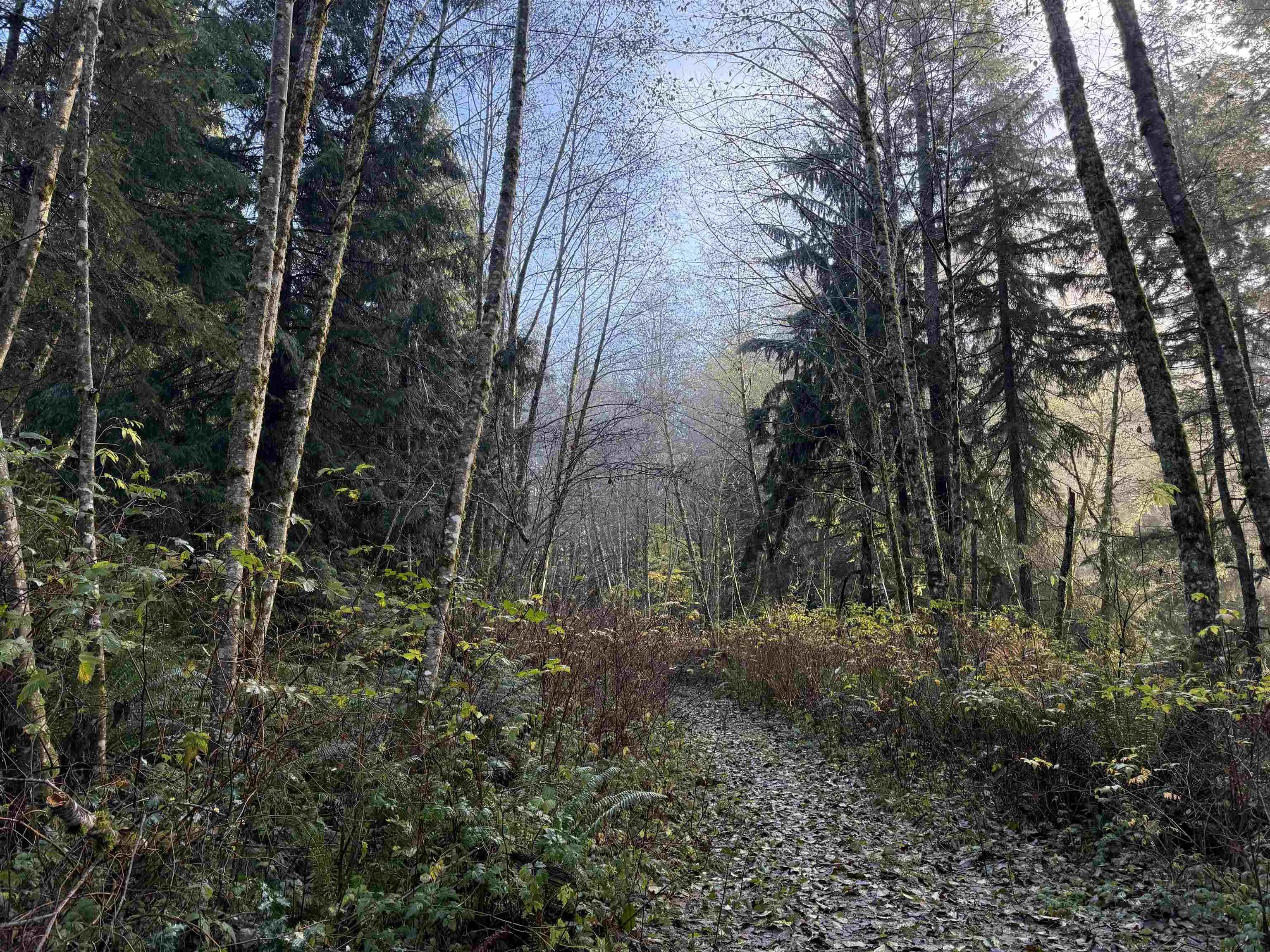 1594 Cemetery Road