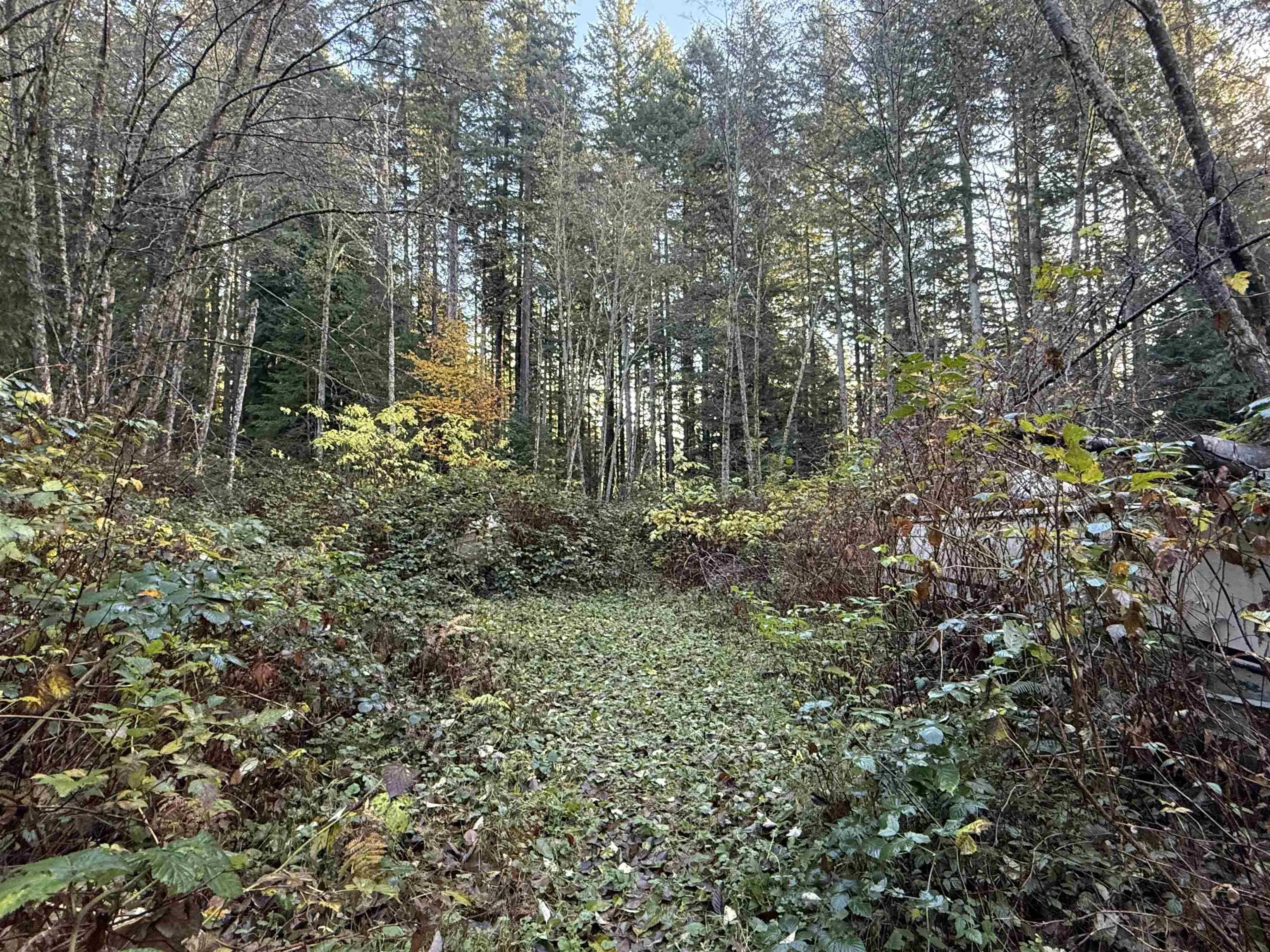 1594 Cemetery Road