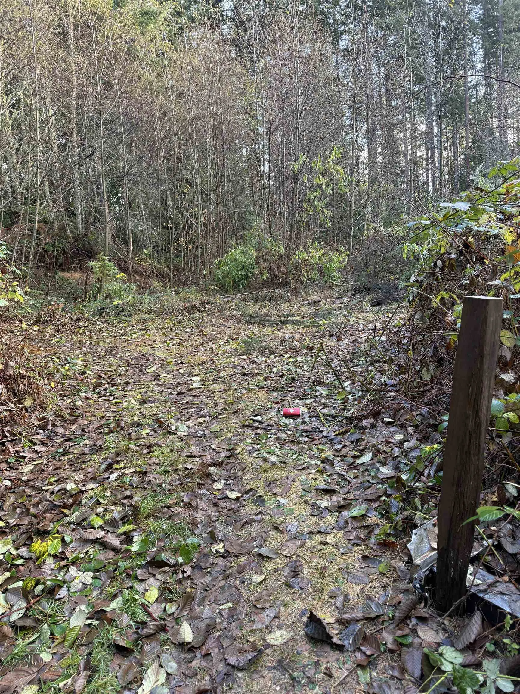 1594 Cemetery Road
