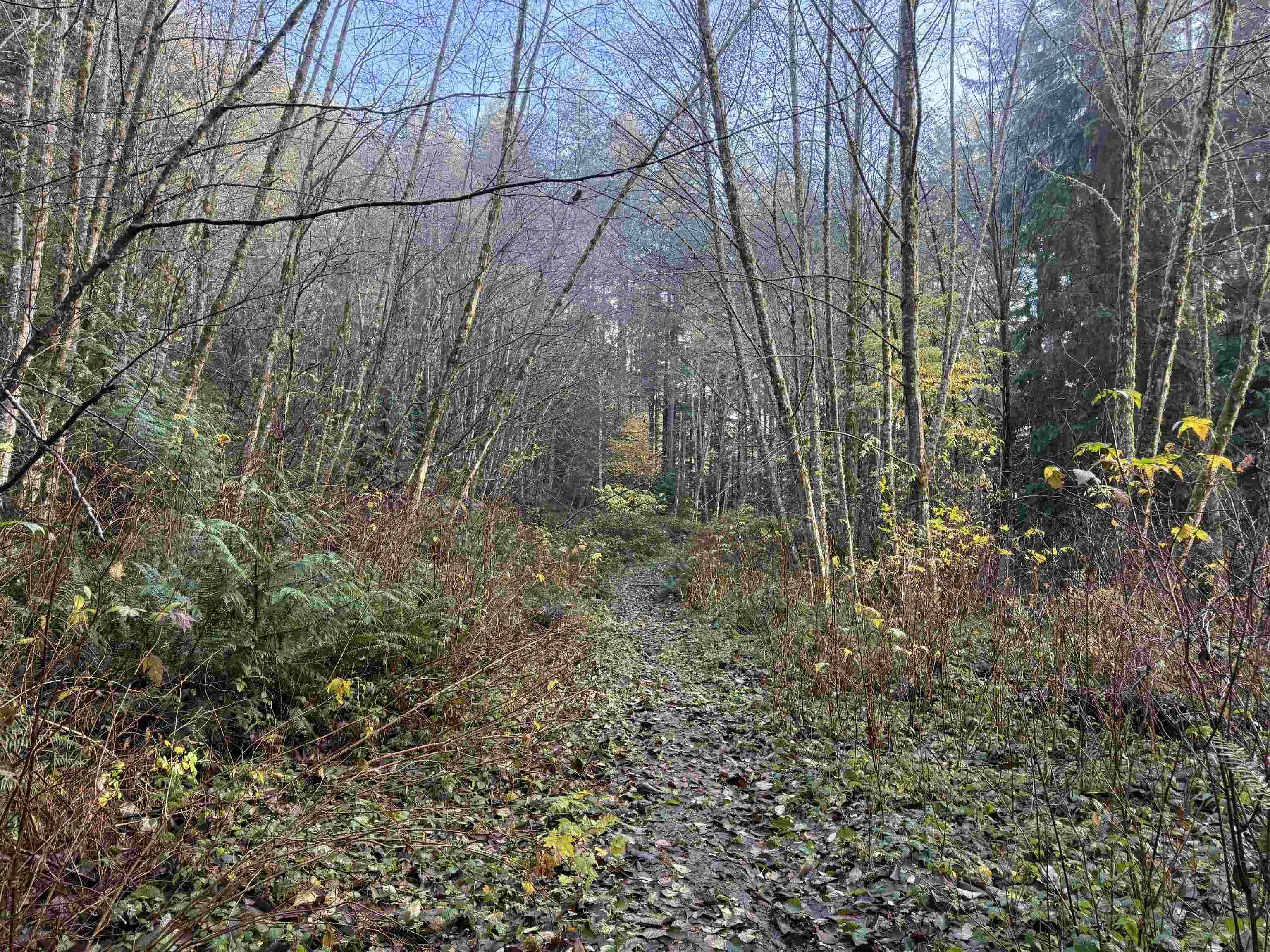 1594 Cemetery Road