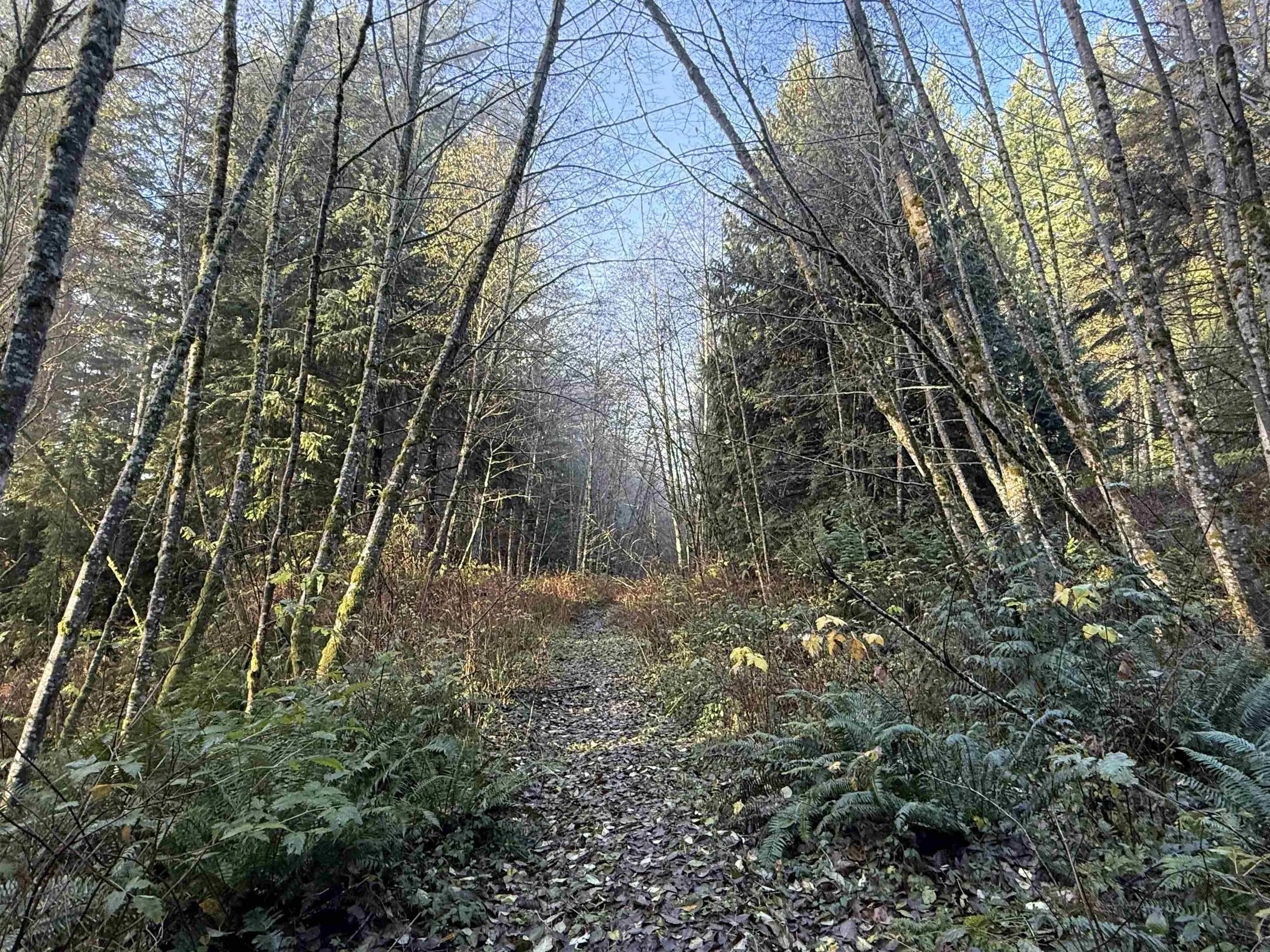 1594 Cemetery Road
