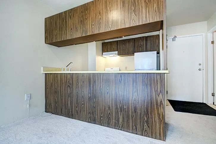 1330 Burrard Street #517