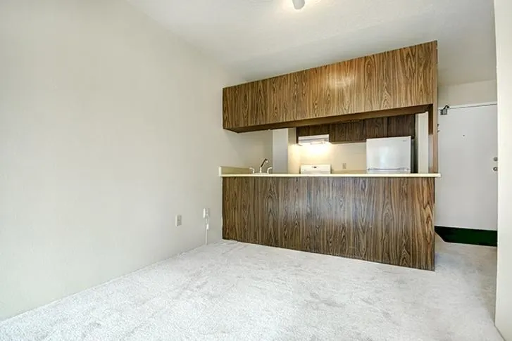 1330 Burrard Street #517