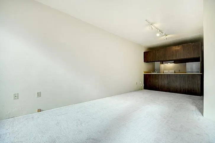 1330 Burrard Street #517