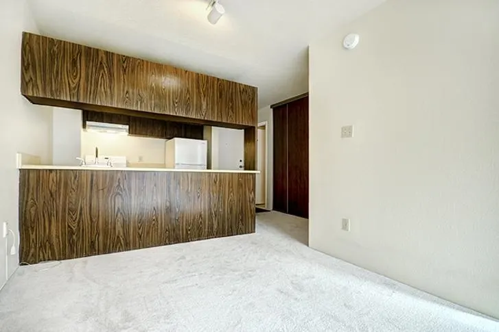 1330 Burrard Street #517
