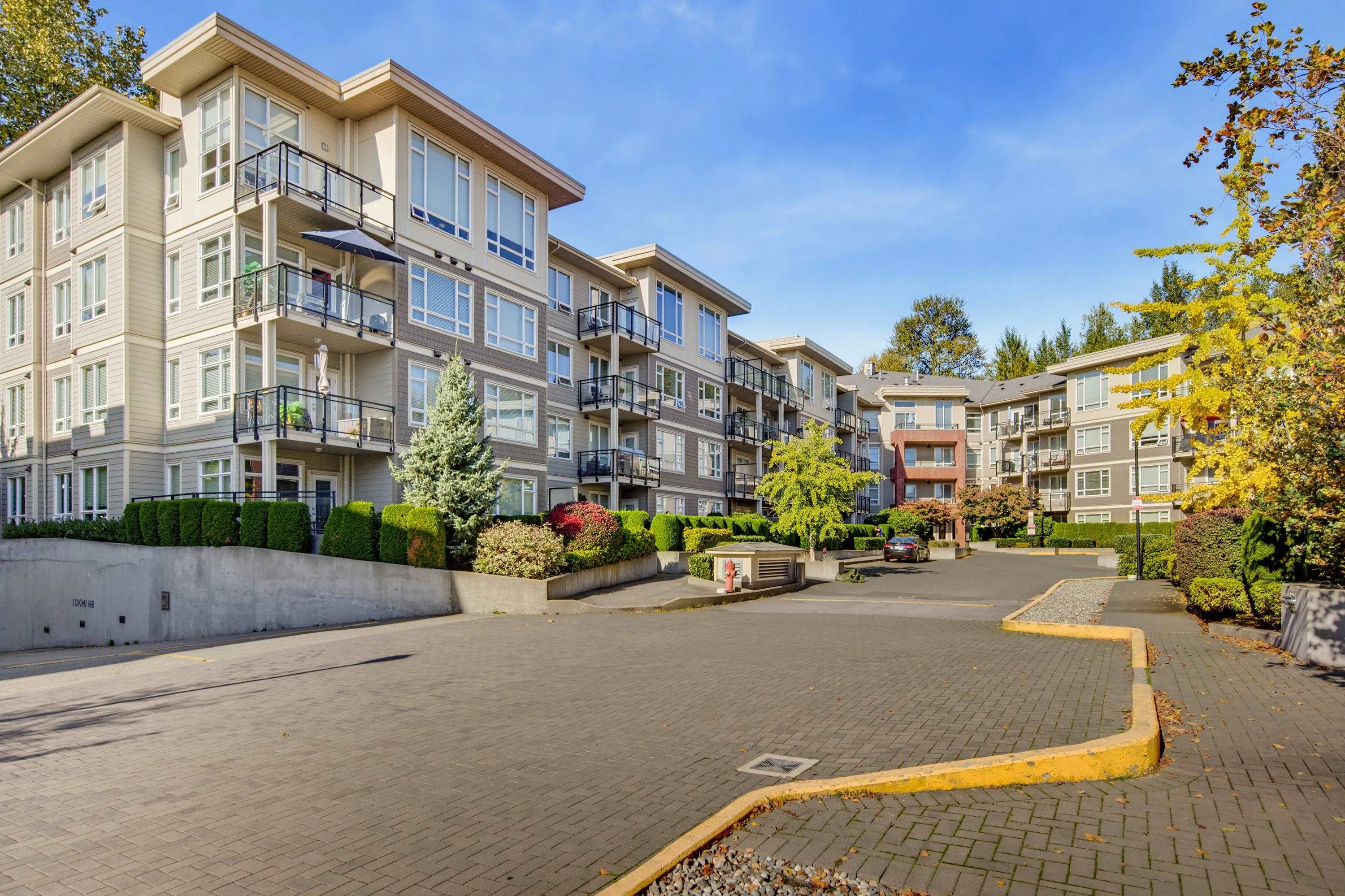 20211 66 Avenue #C209