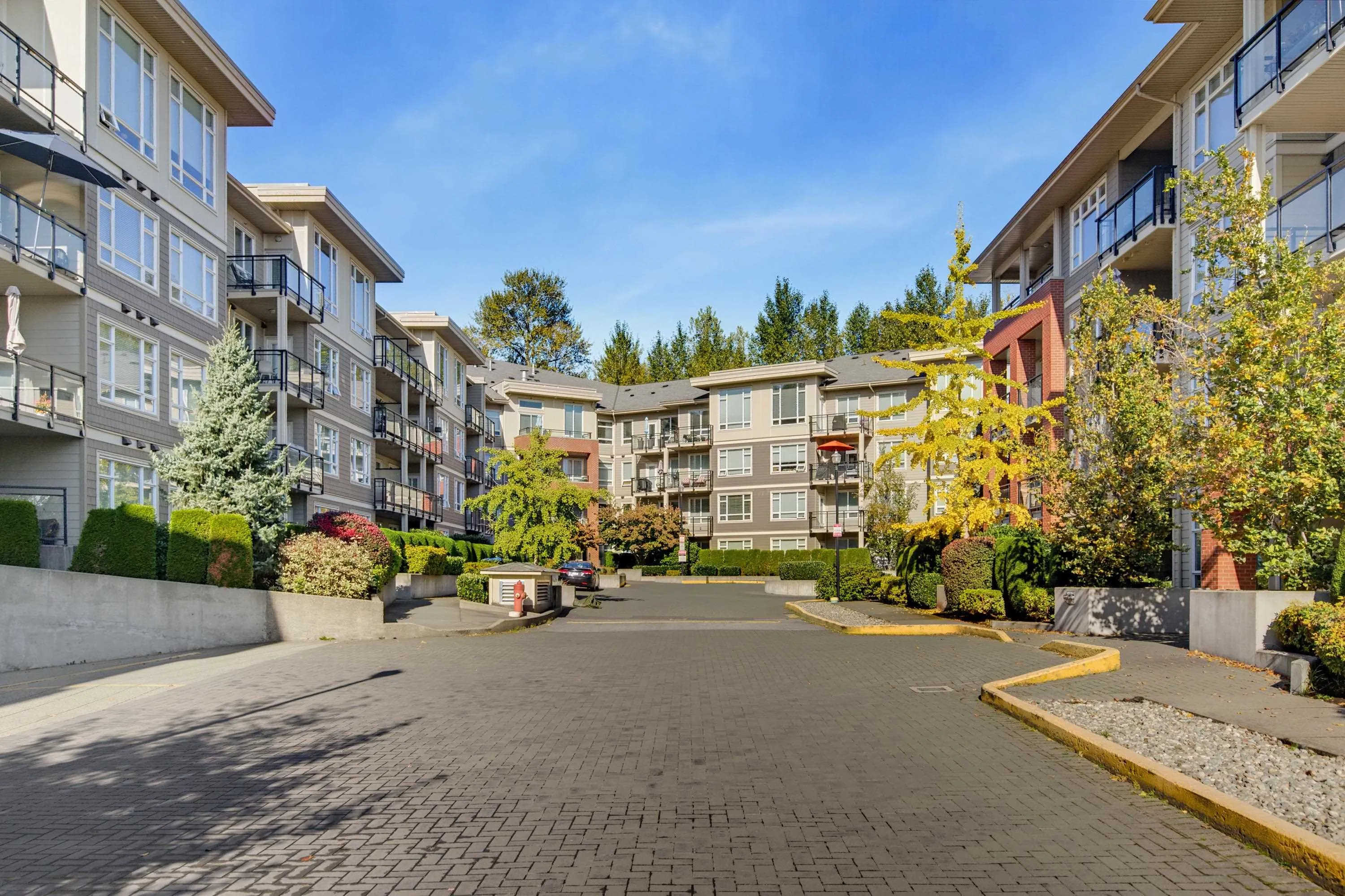 20211 66 Avenue #C209