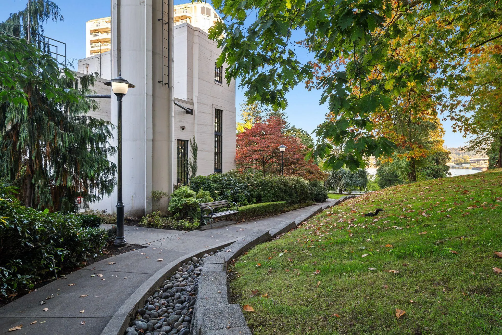 225 Francis Way #217