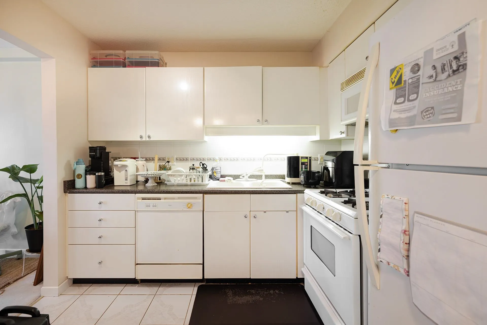 8238 Saba Road #5xx