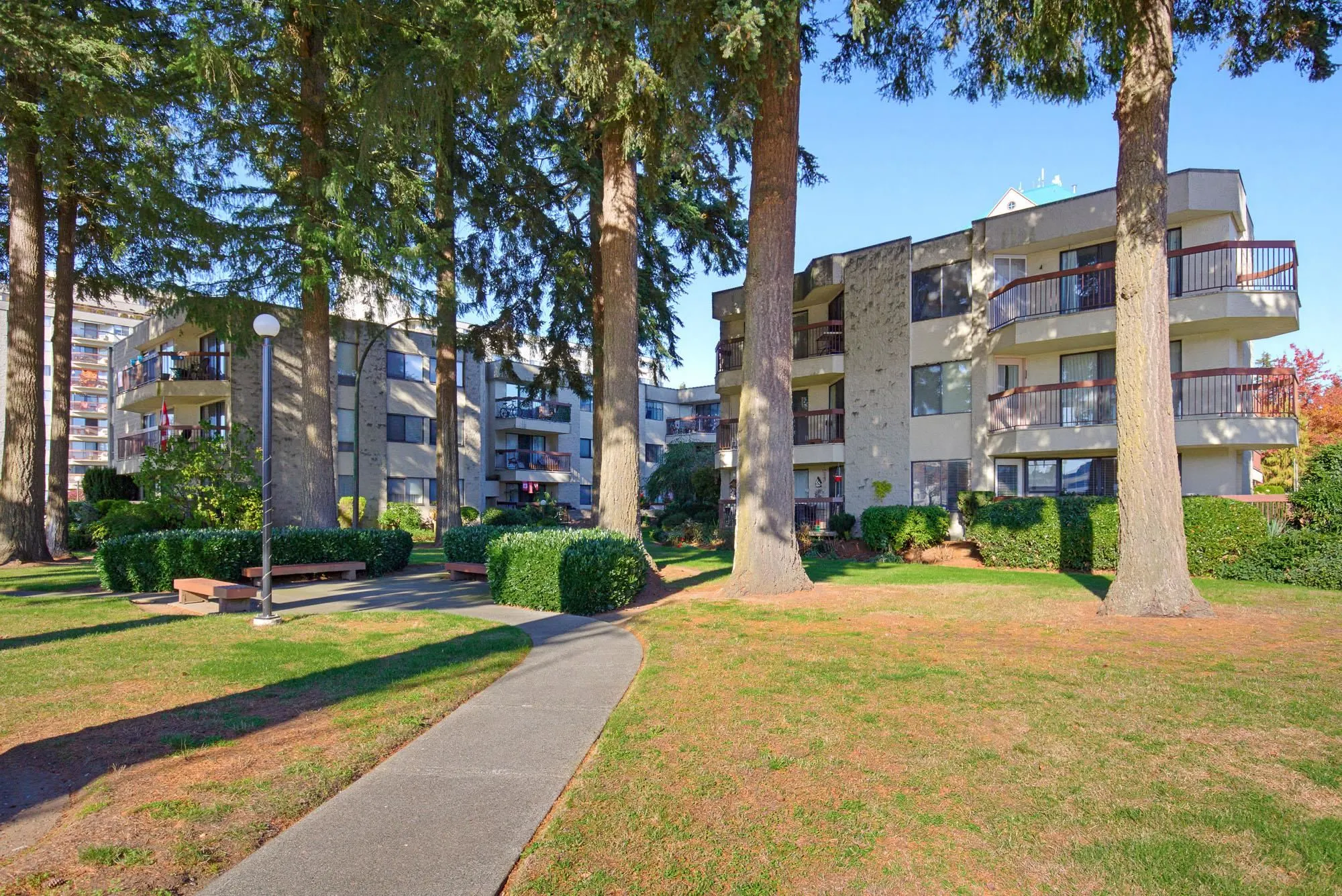 31955 Old Yale Road #129