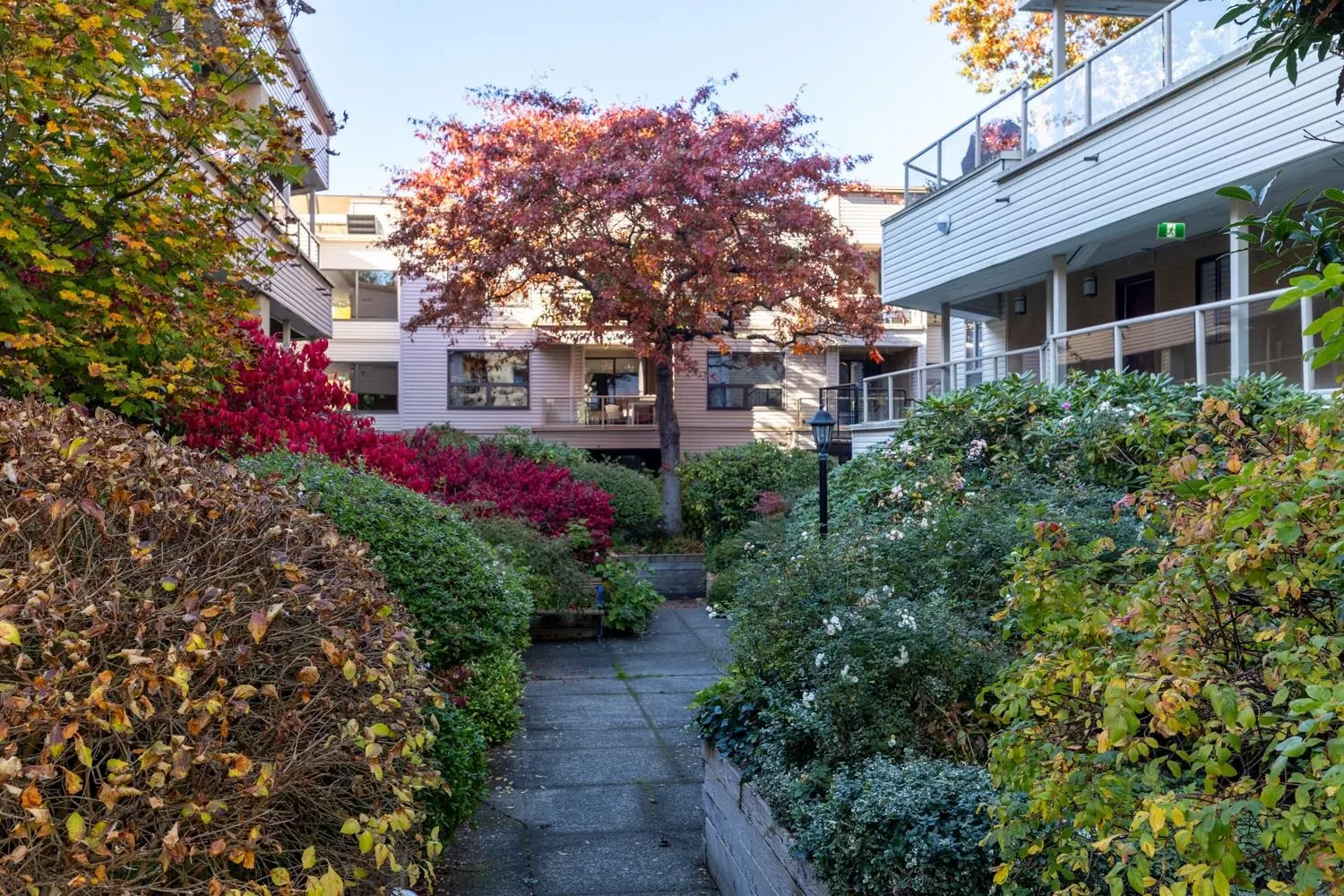 1080 Broughton Street #203