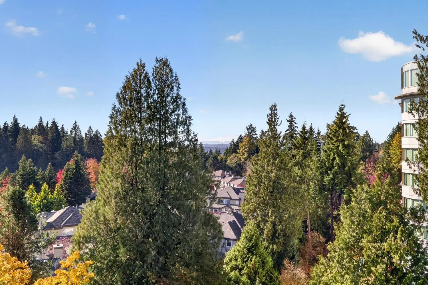 995 Roche Point Drive #903