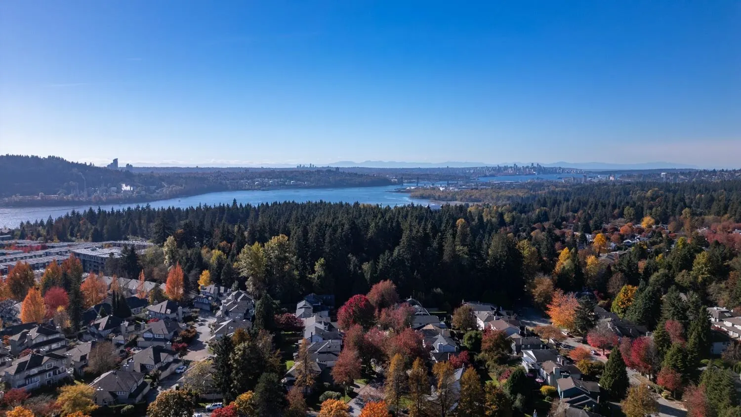 995 Roche Point Drive #903