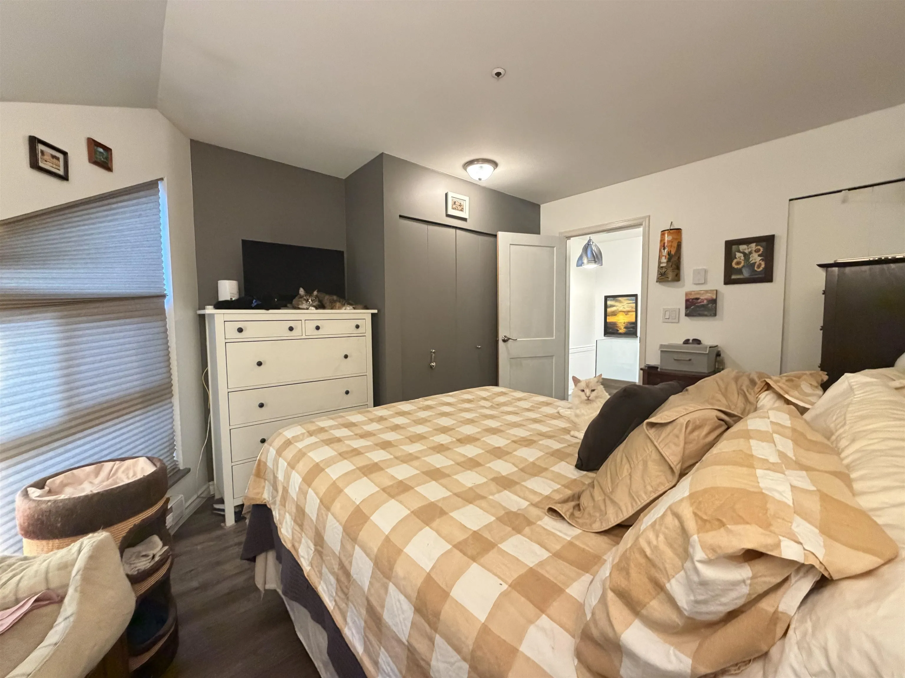 733 W 16th Avenue #C