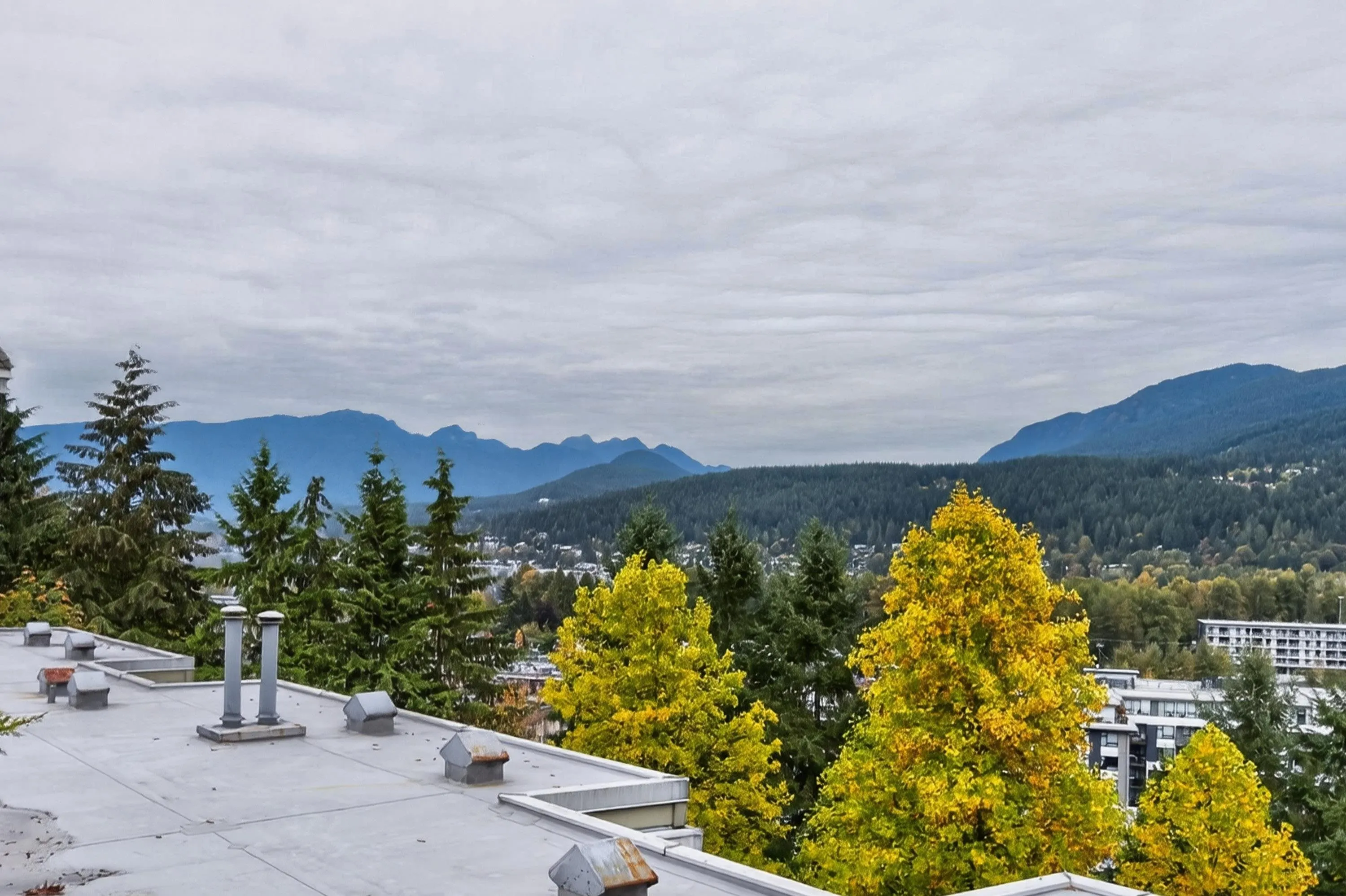 3001 Terravista Place #603
