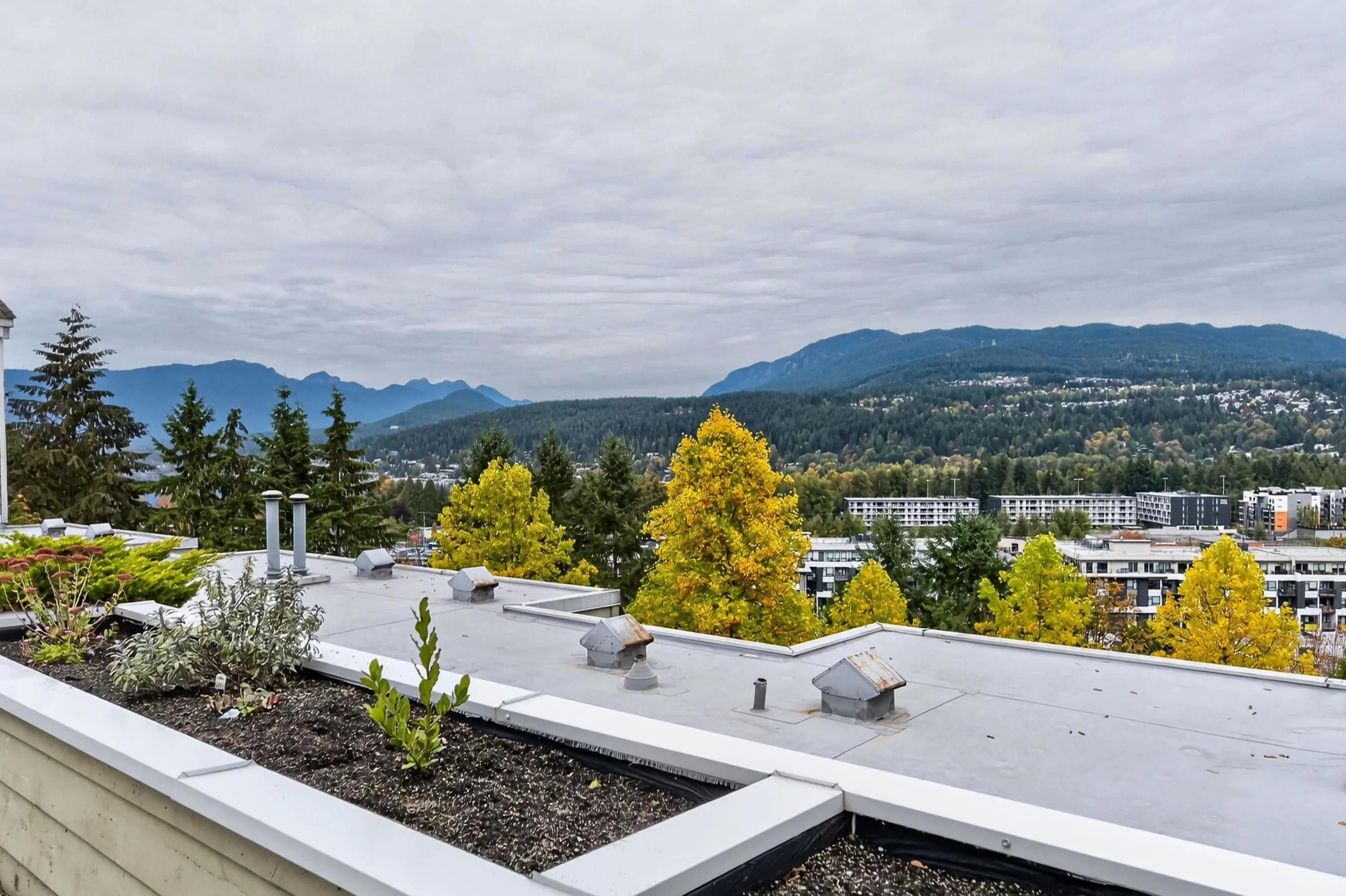 3001 Terravista Place #603