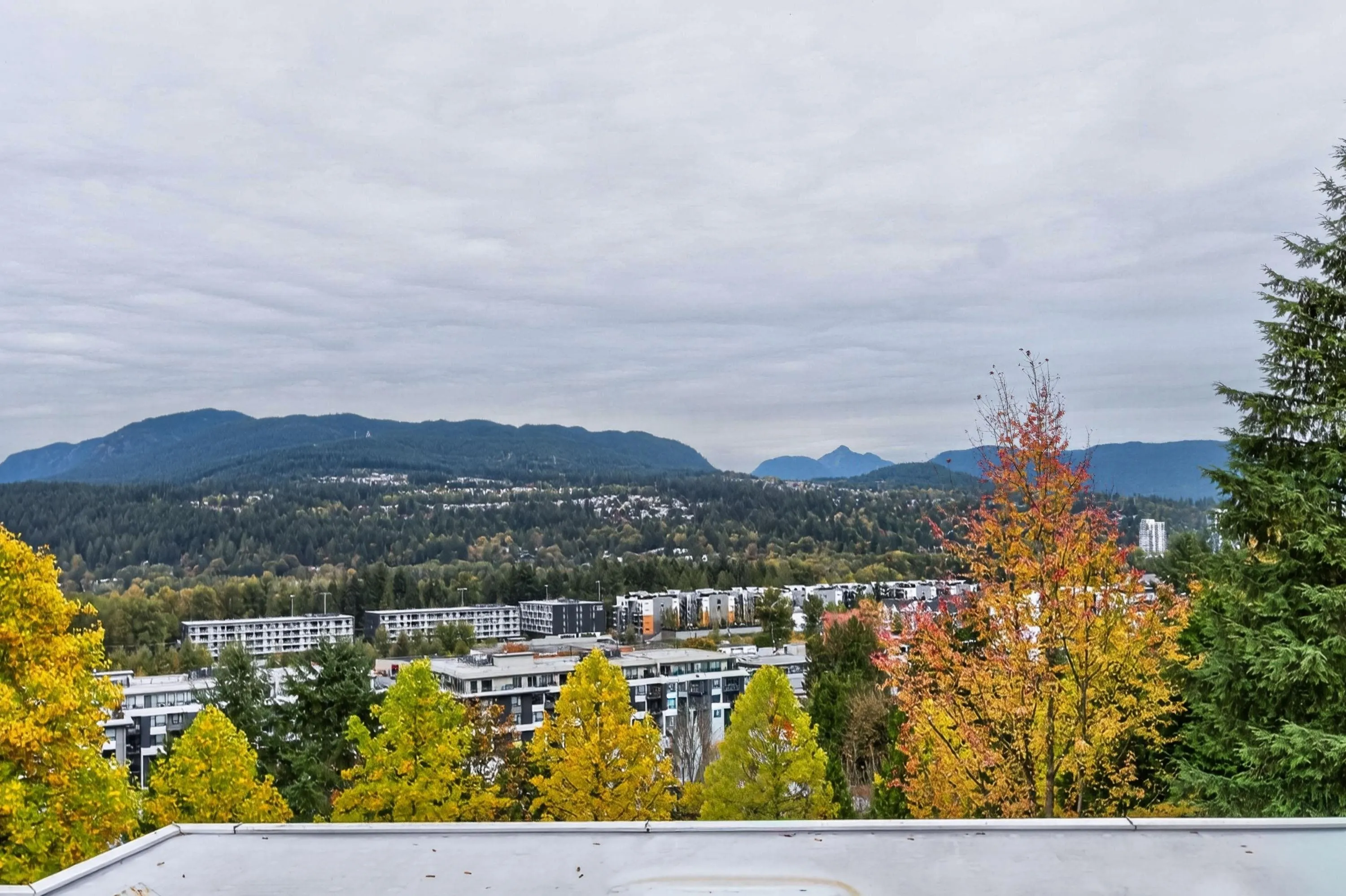 3001 Terravista Place #603