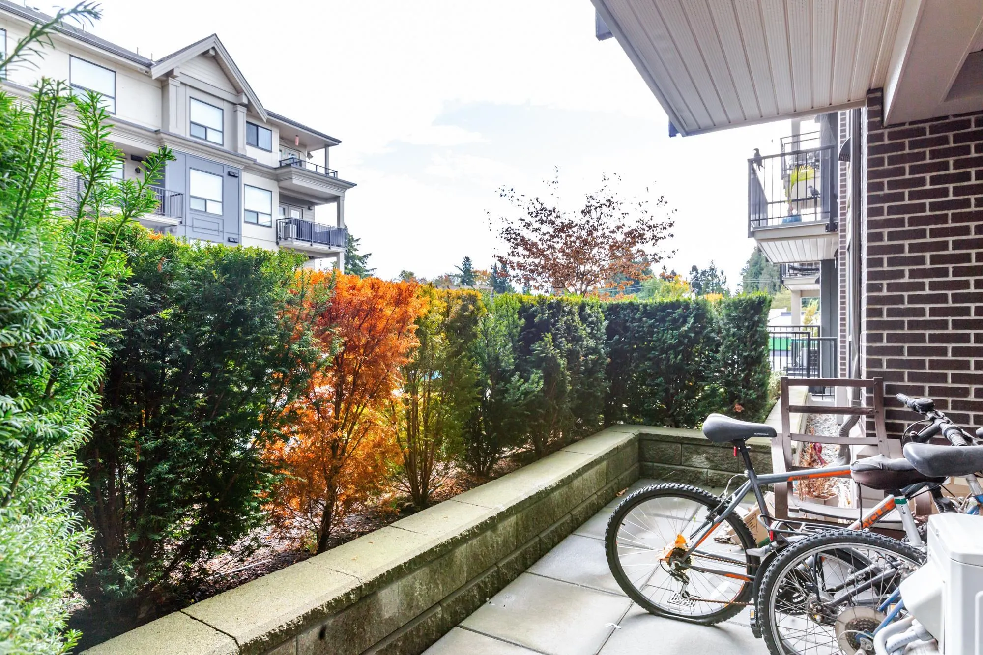 2493 Montrose Avenue #216-217