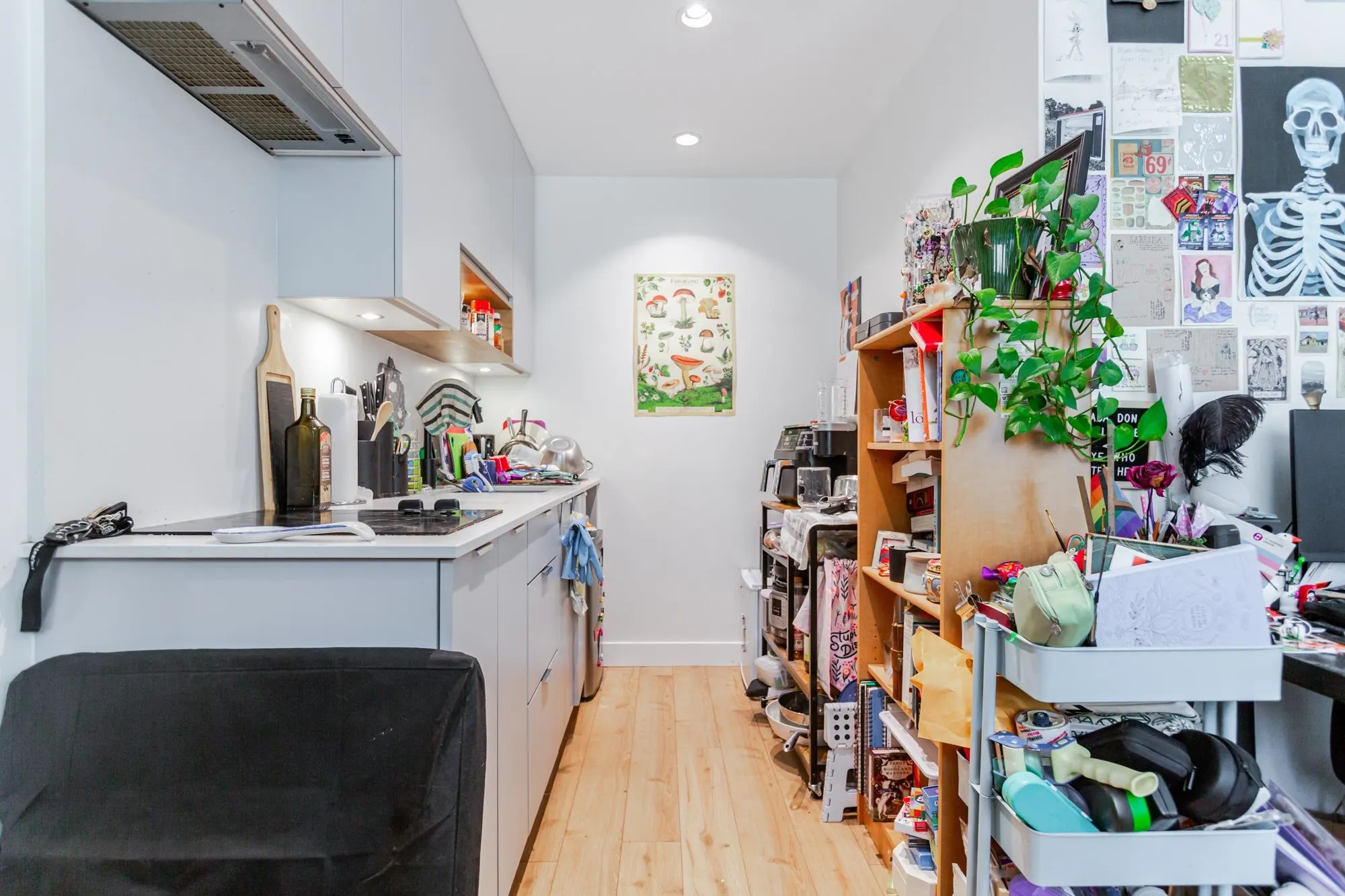 2493 Montrose Avenue #216-217